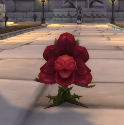 Skärmbild 2026-02-09 135937.png