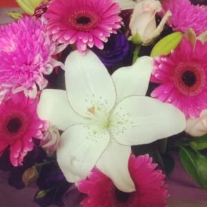 i am getting into something new