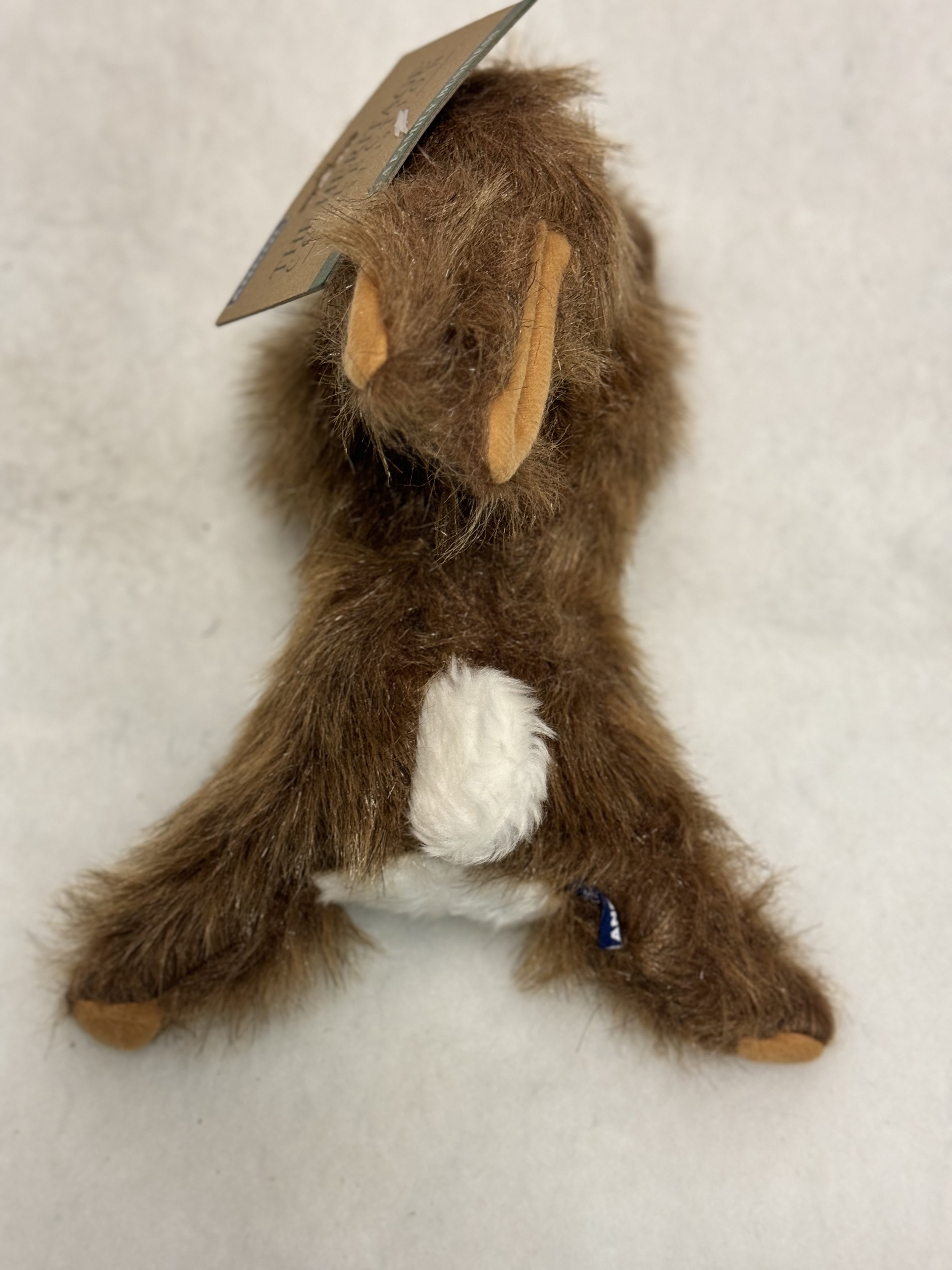 hare 3.jpeg
