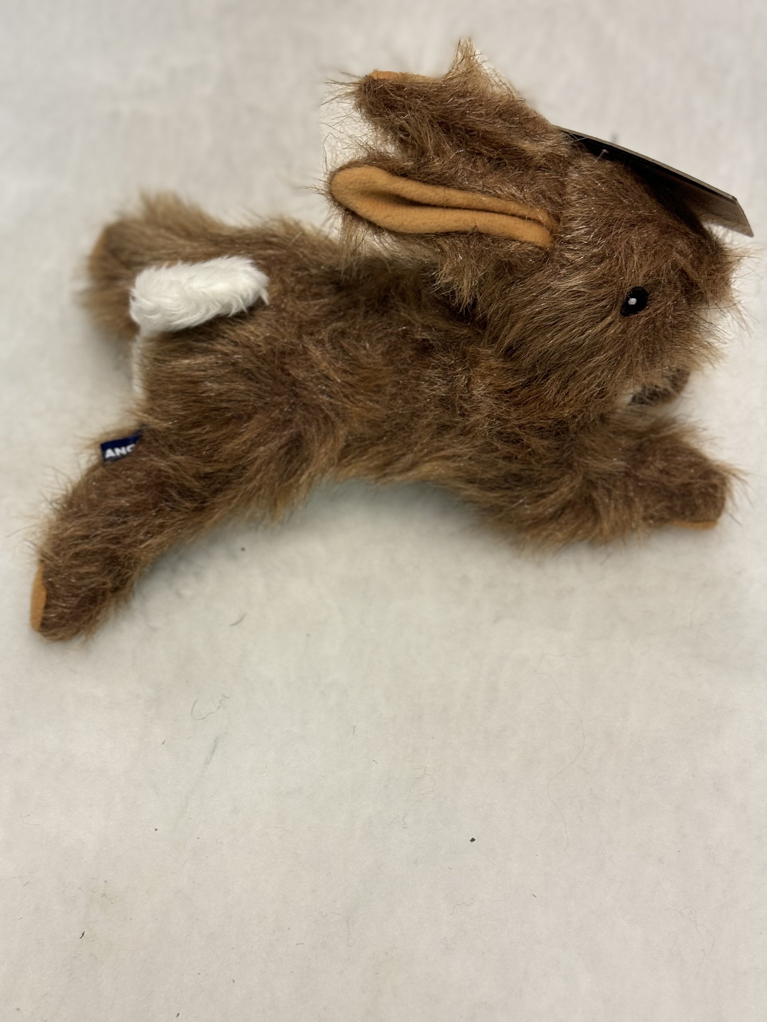 hare 2.jpeg