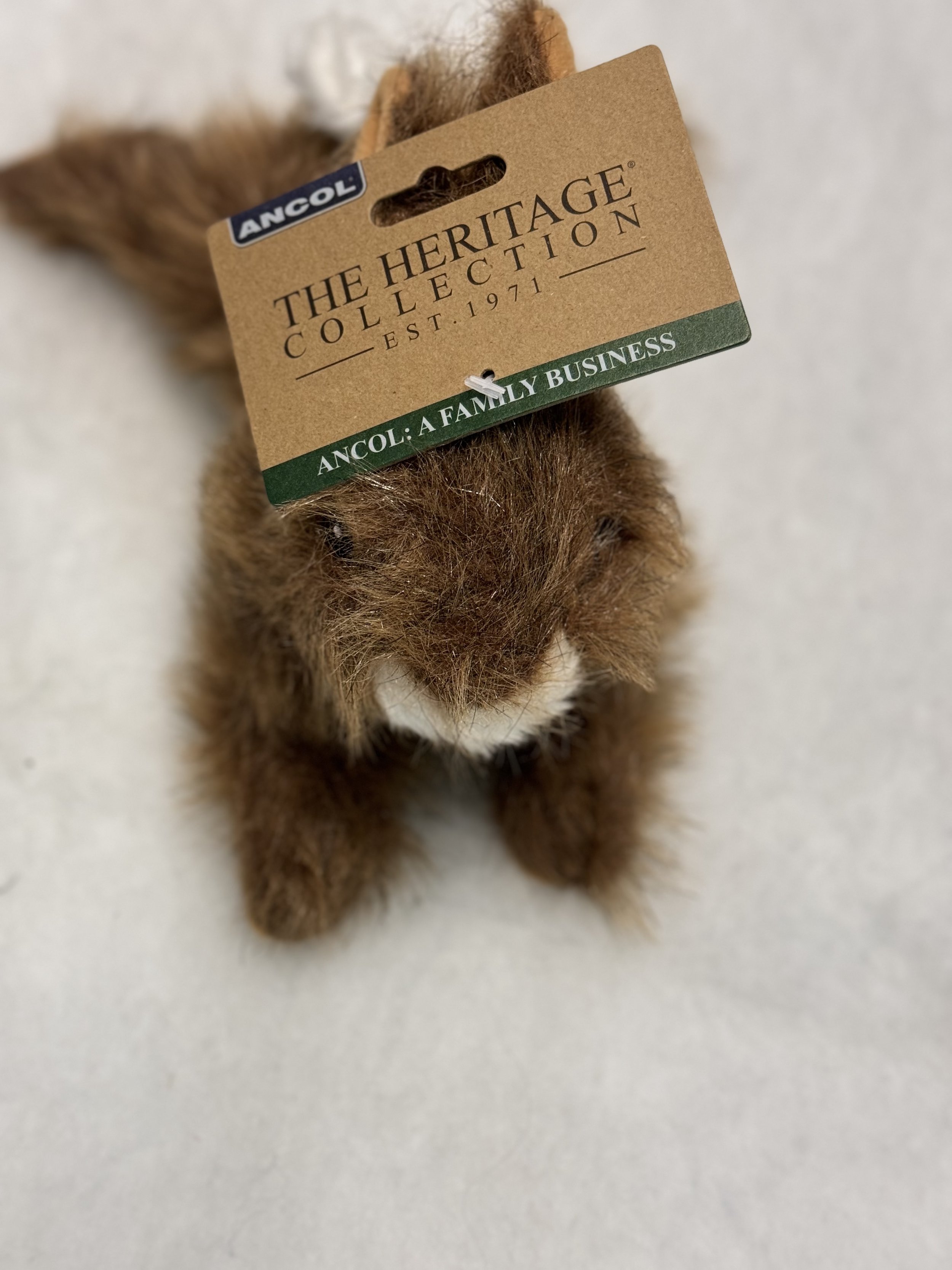 hare 1.jpeg
