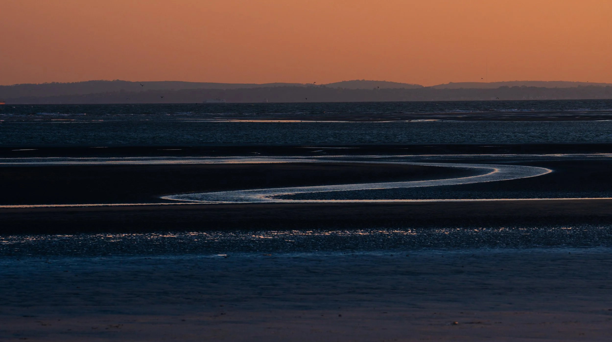MarioLoaizaPhoto-5.jpg