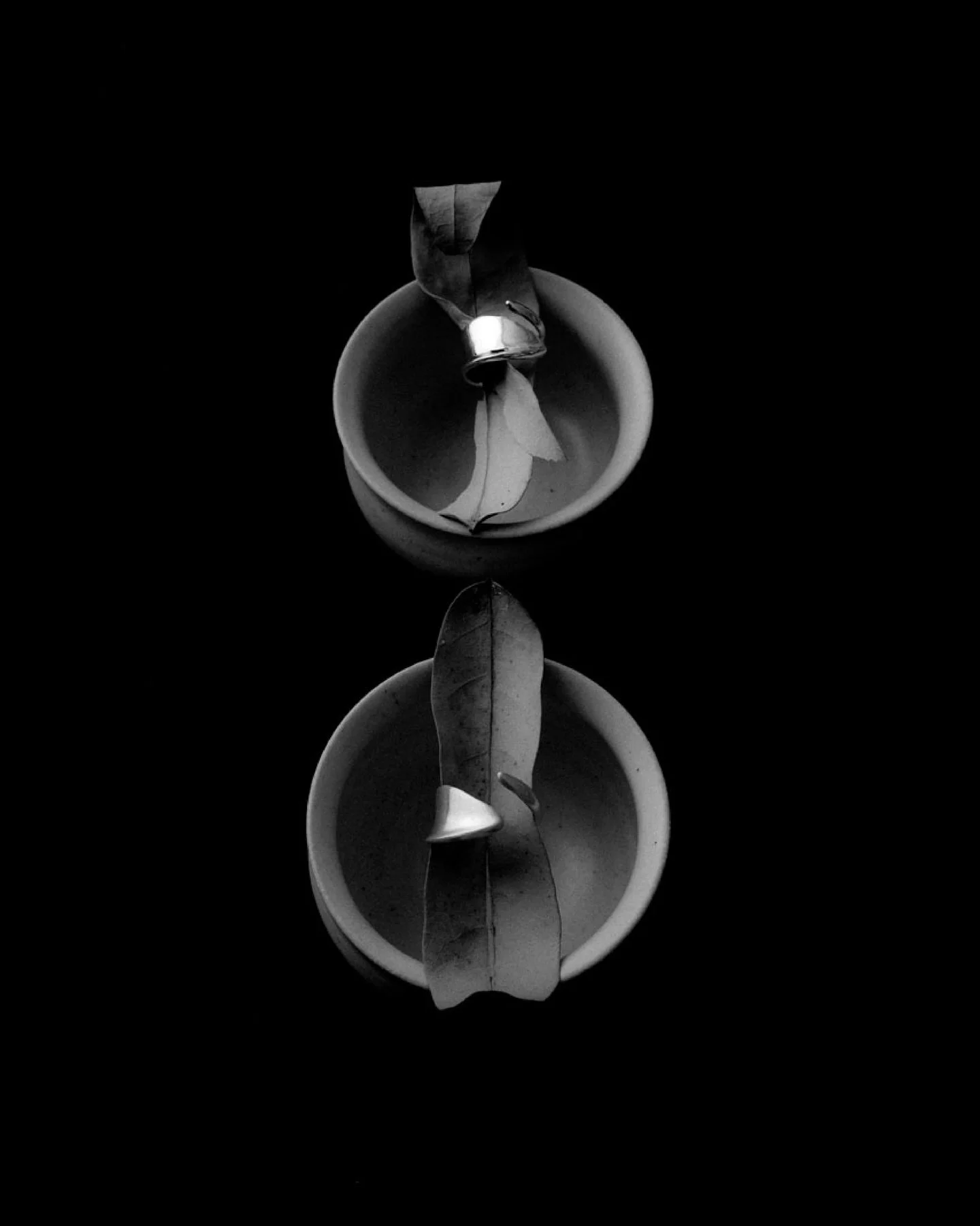 Clove ring. Image taken from @juststudio.jewelry.