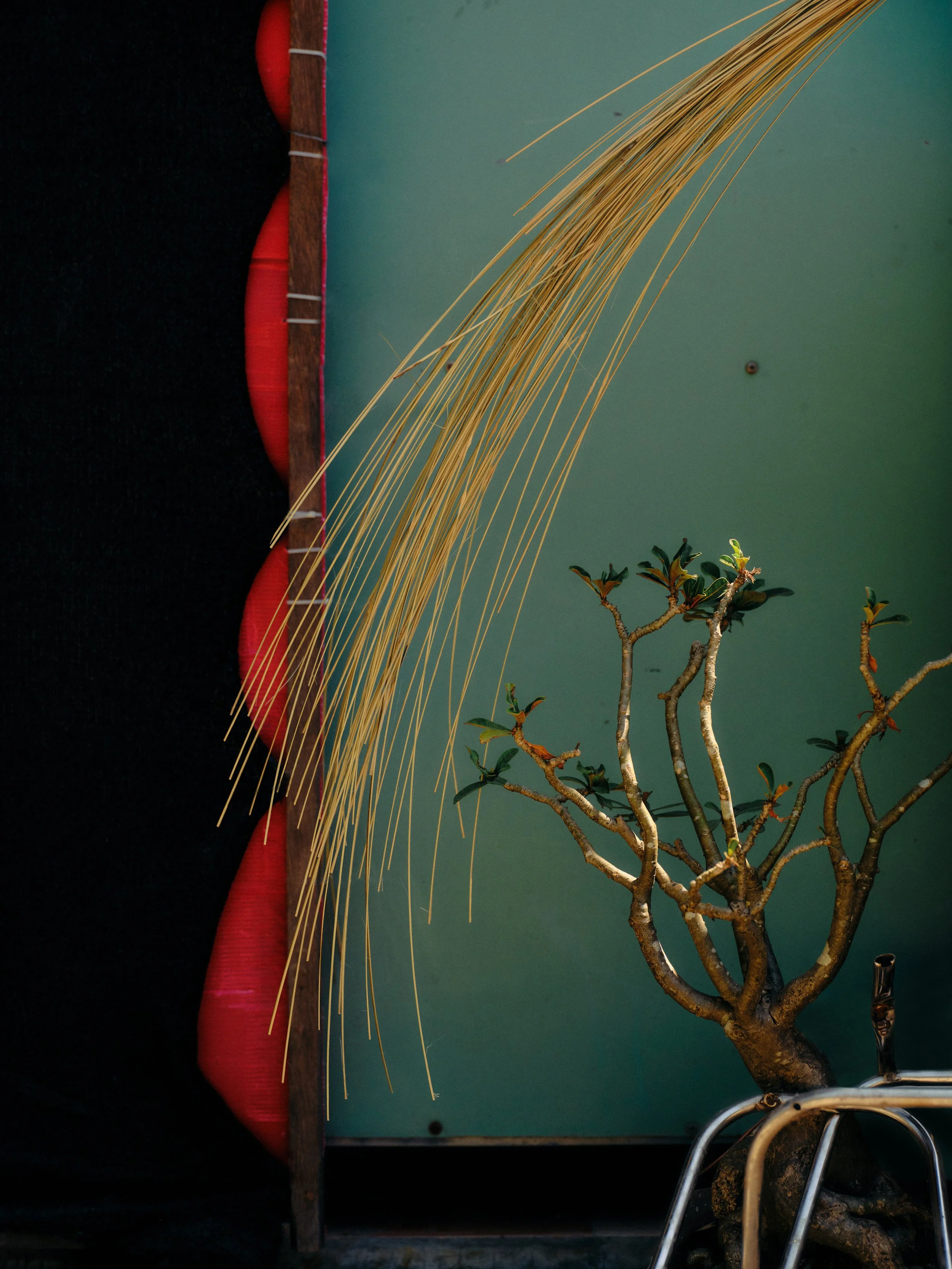 Through the Lens: Wendy Huynh