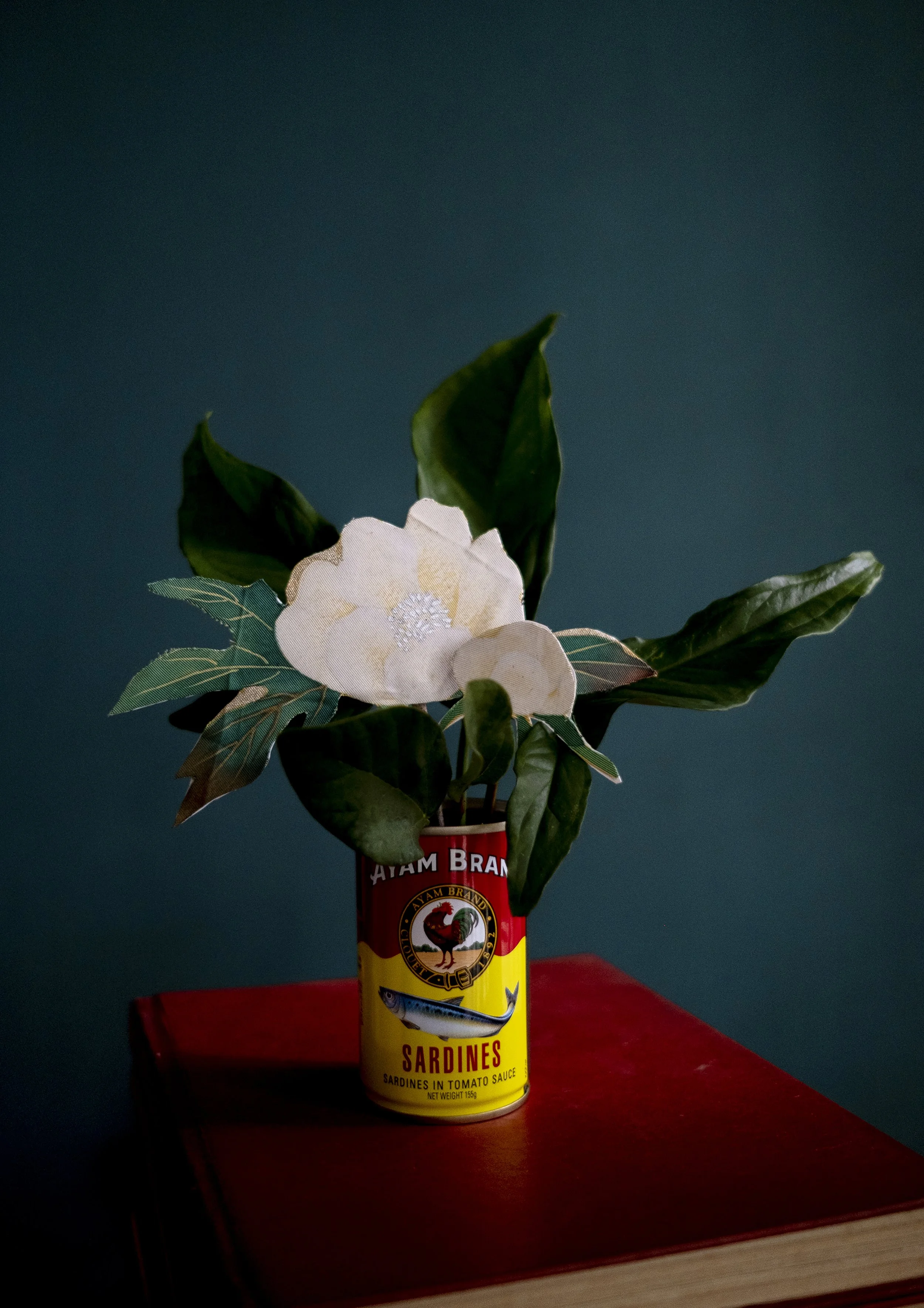 Through the Lens: Nadirah Zakariya