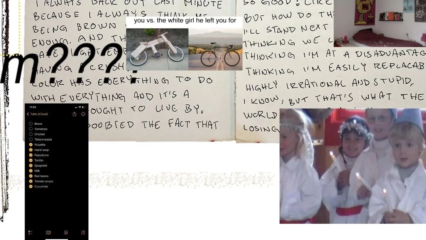 Anastacia Mala, Asian Fusions, 2025, website Installation. Image courtesy of Anastacia Mala.