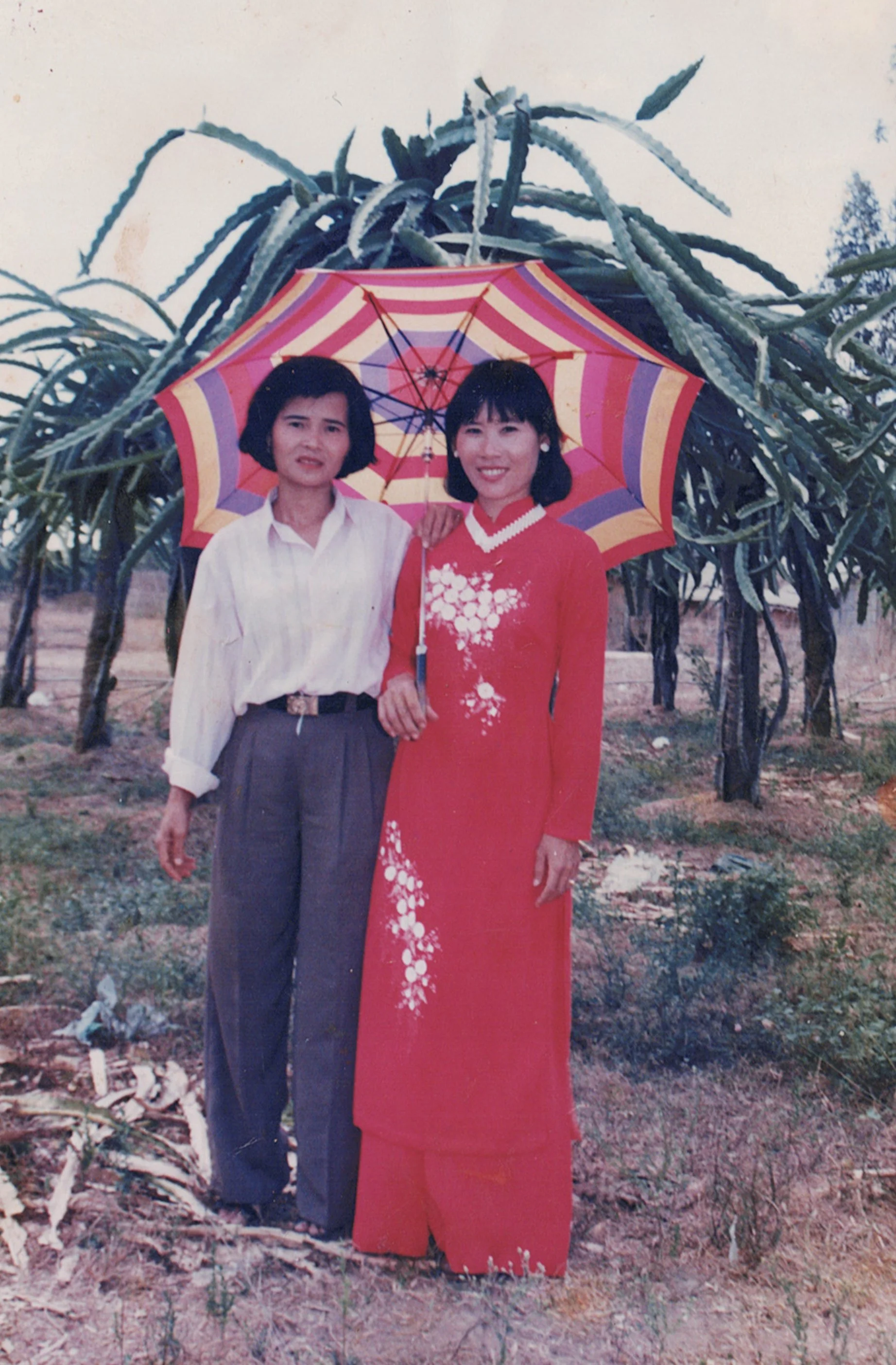 Cao’s mother wears a red áo dài with Nam, her first godchild, at his grandfather’s dragon fruit orchard on Christmas Eve, c. 1990s. Image courtesy of Quý Cao.