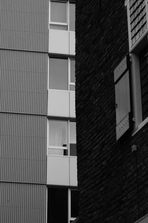 DSC_0365.jpg