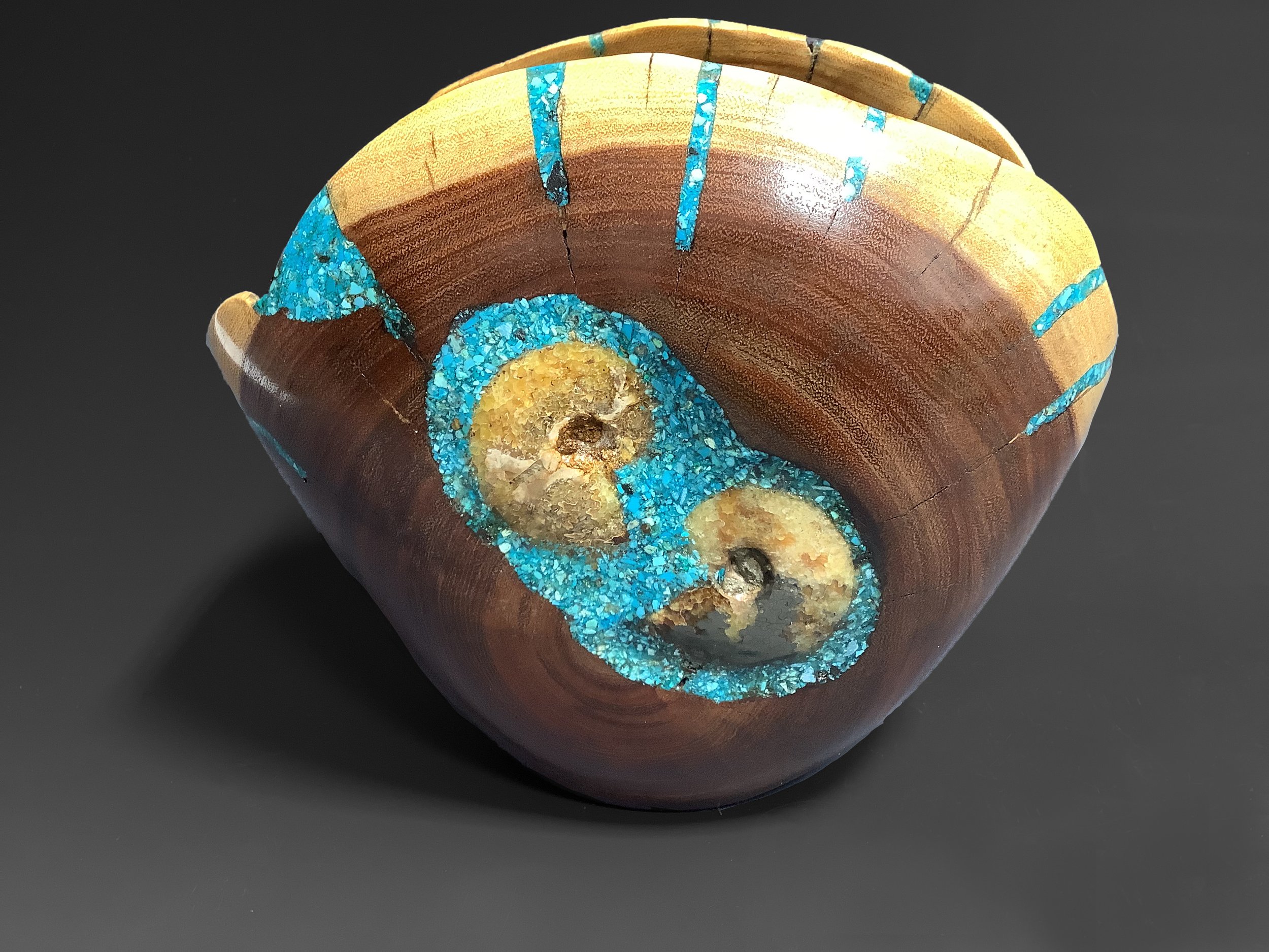 Acacia with ammonite and turquoise (1).jpeg