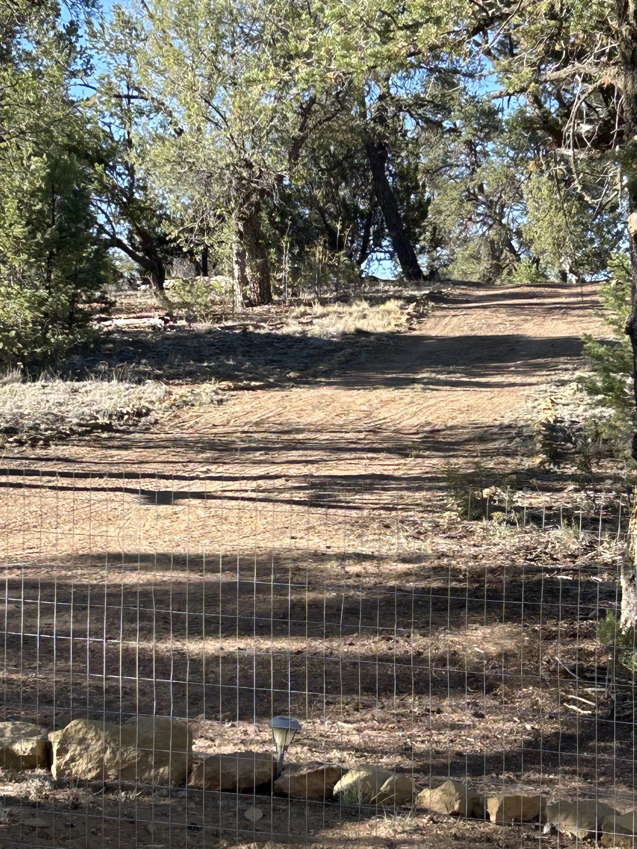 Looking up the drive from the yard entrance