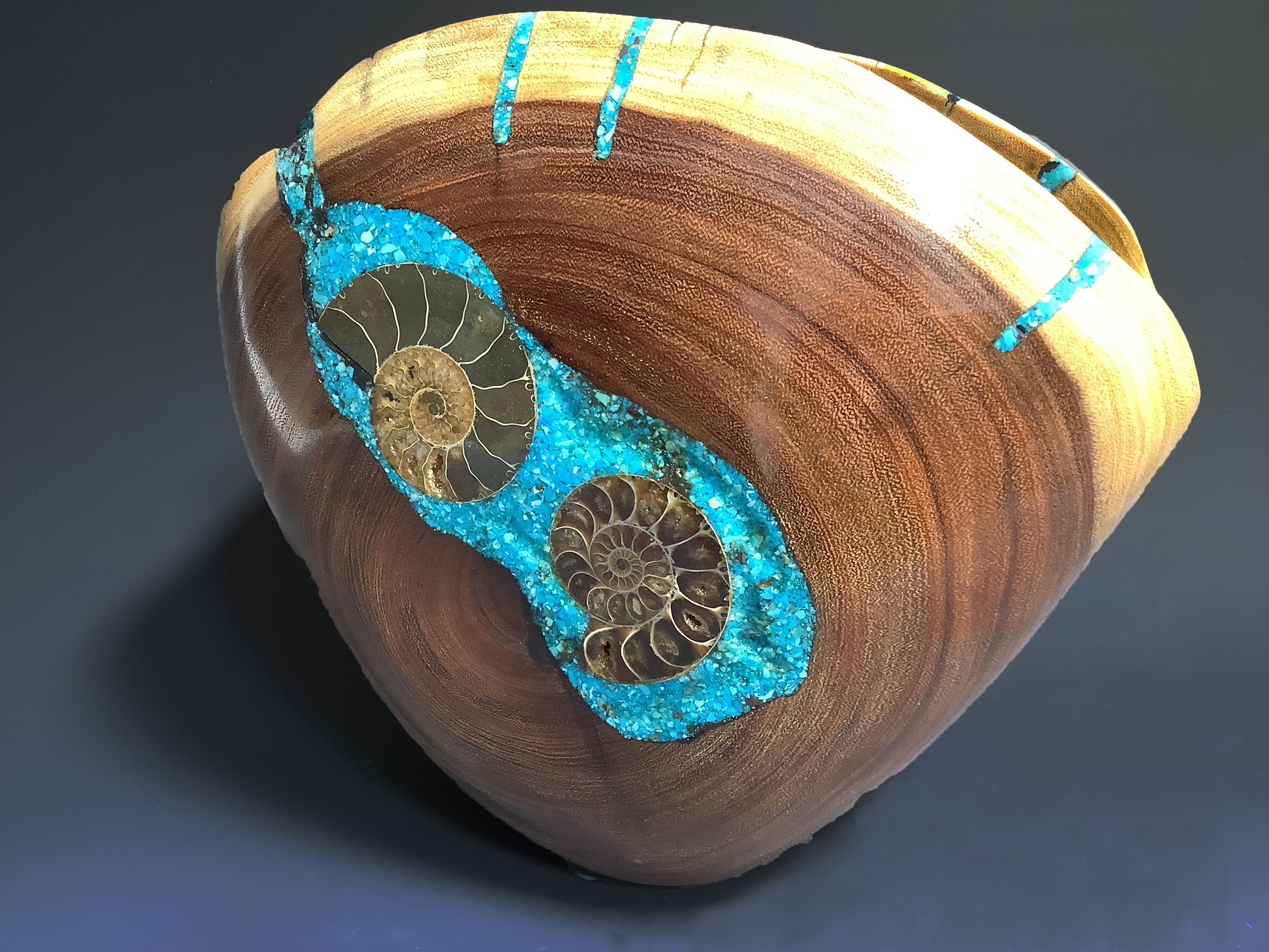 Acacia 2 with fossil and turquoise.jpeg
