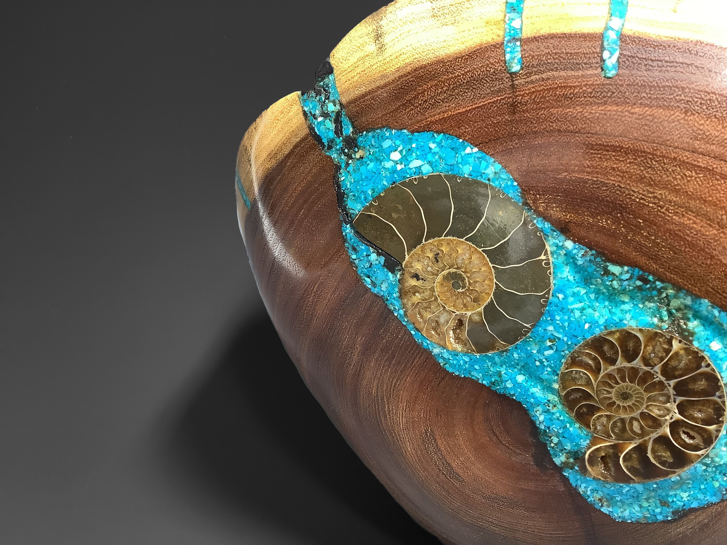 Acacia 2 with fossils and turquoise closeup.jpeg