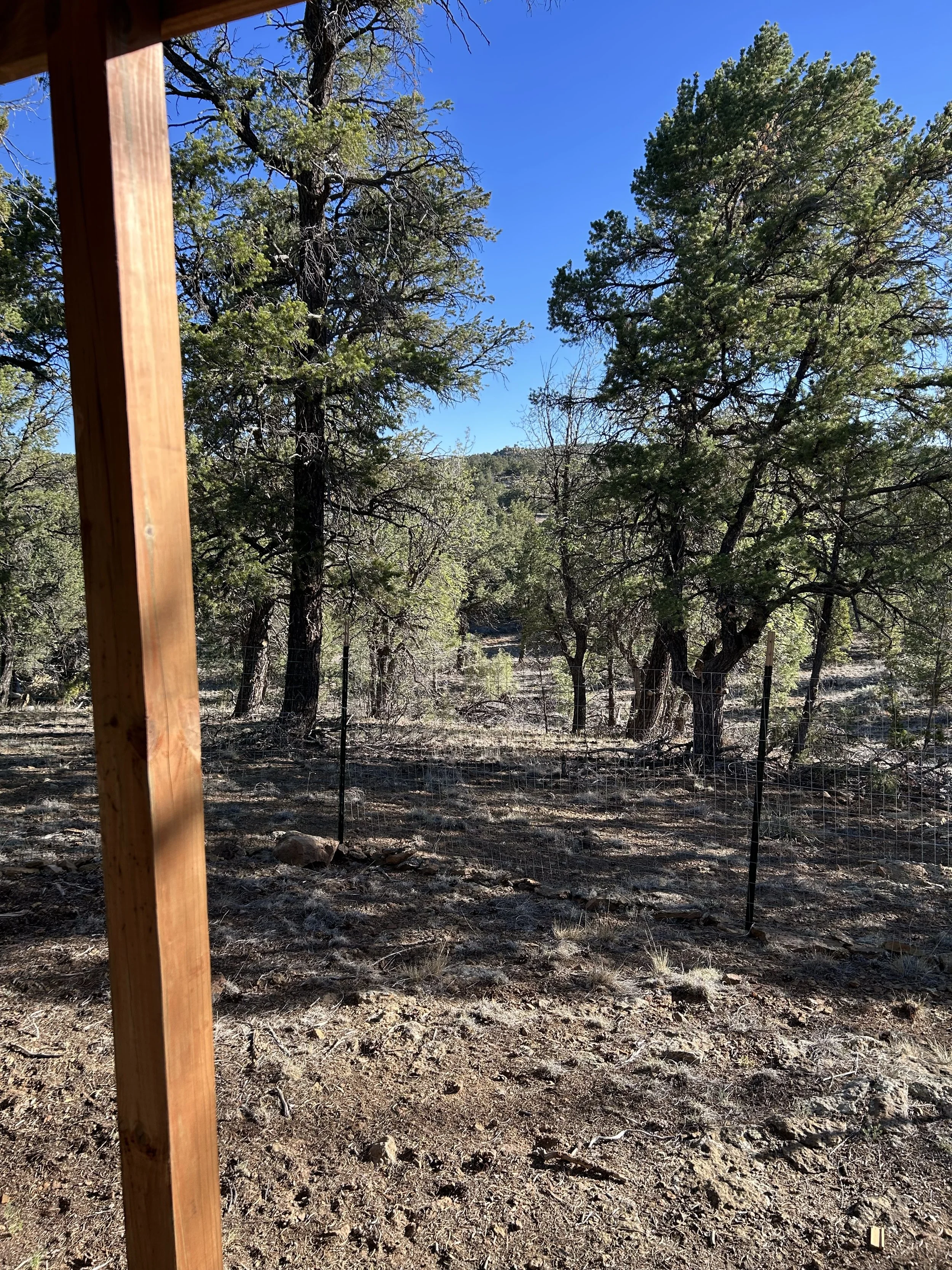 Sitting on the porch looking out into the trees