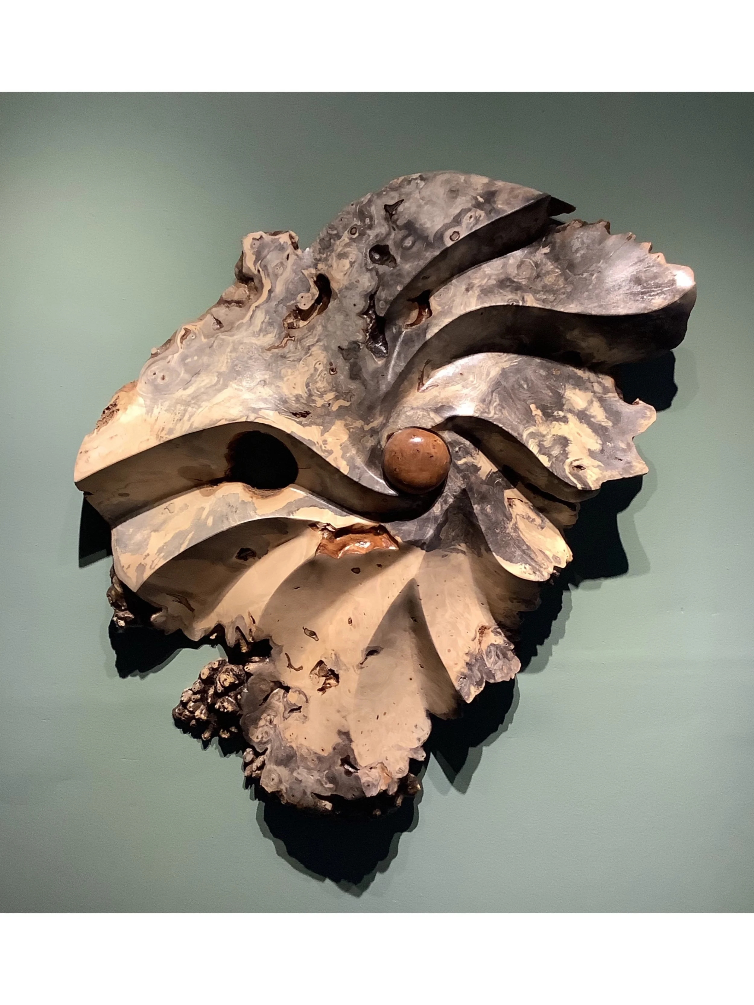 Buckeye Burl Wall Sculpture w/Poplar Burl Insert