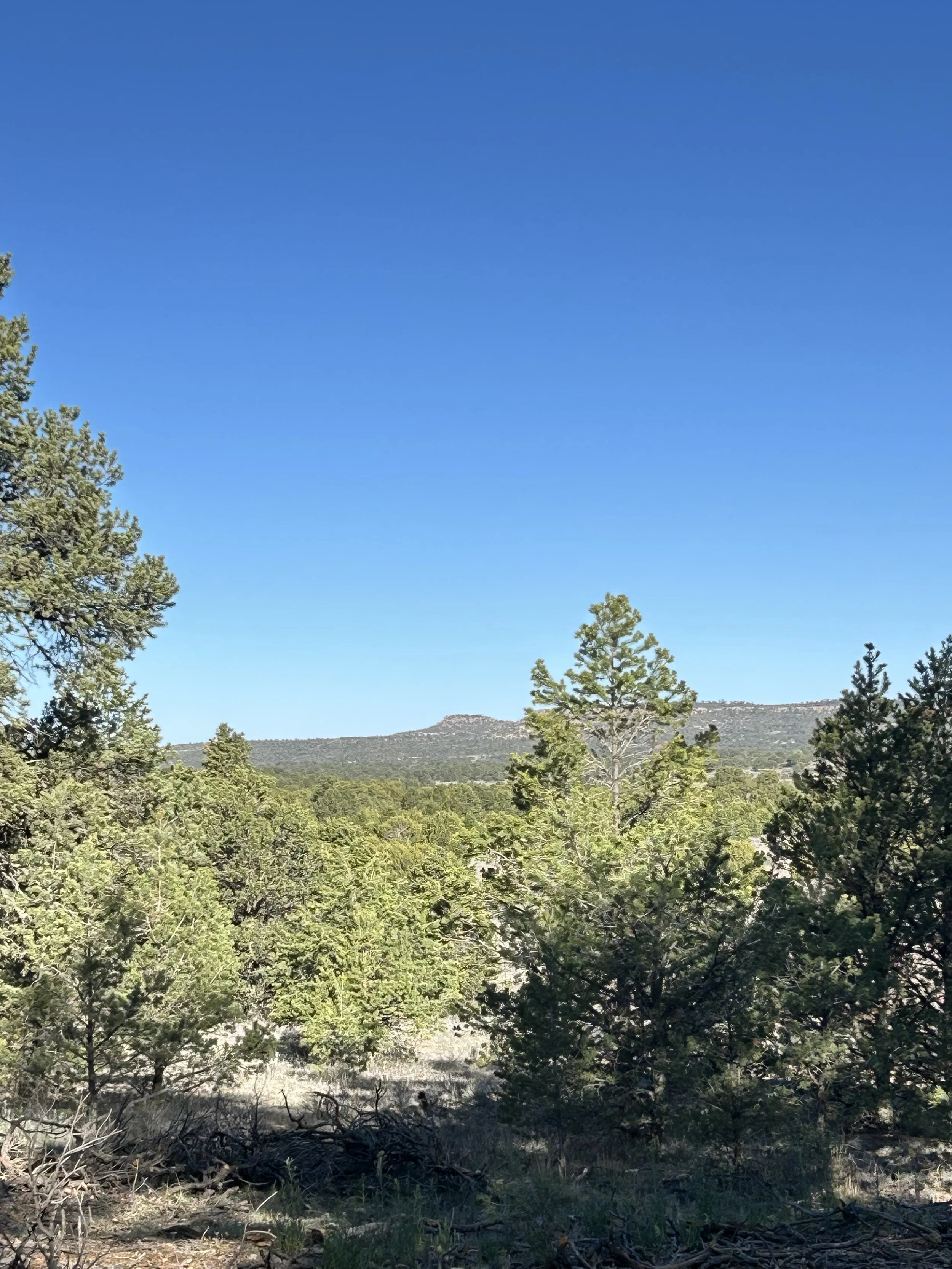 A distant Mesa view