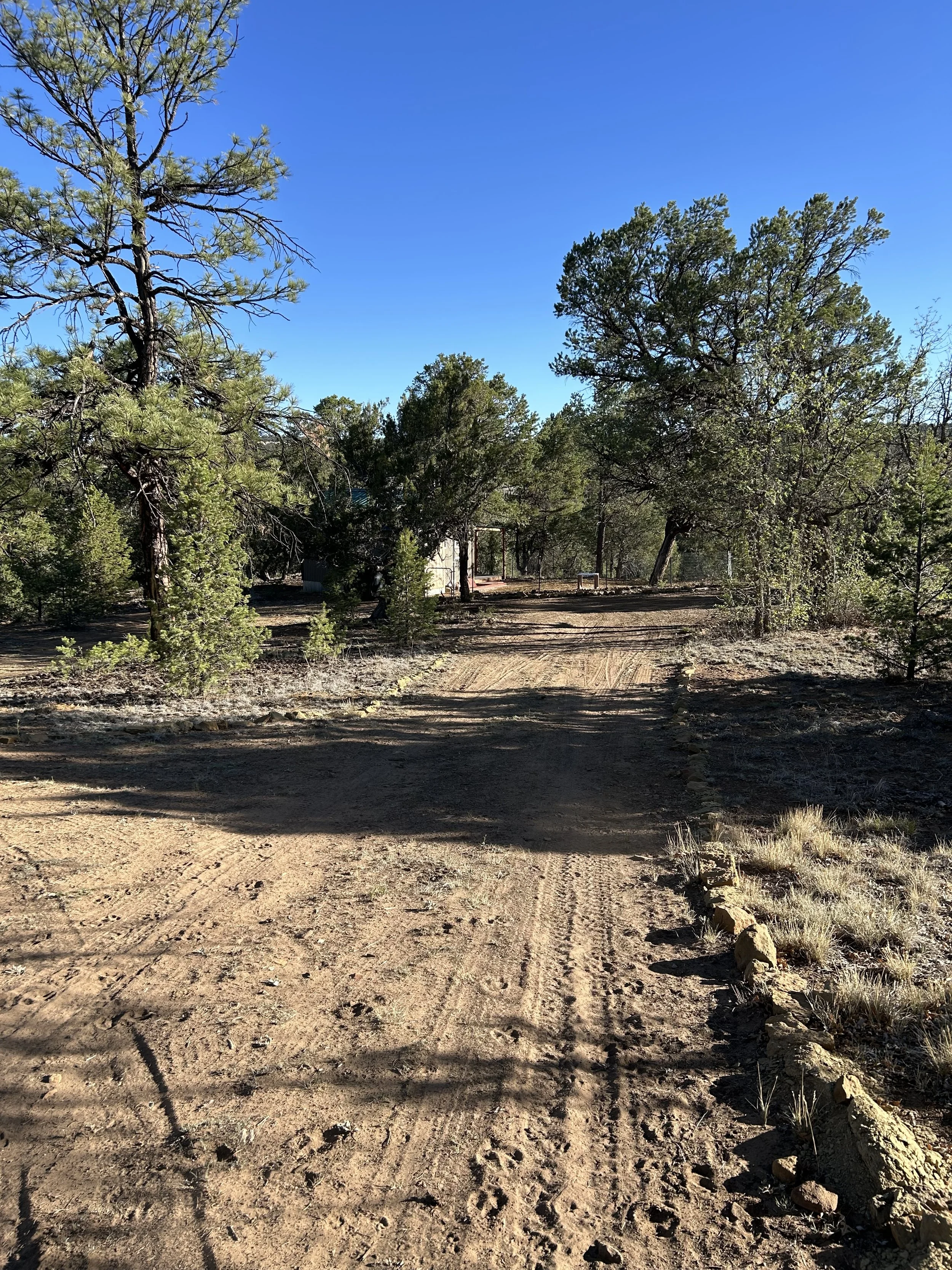 Looking down from the top of the driveway entrance to the cabin below.