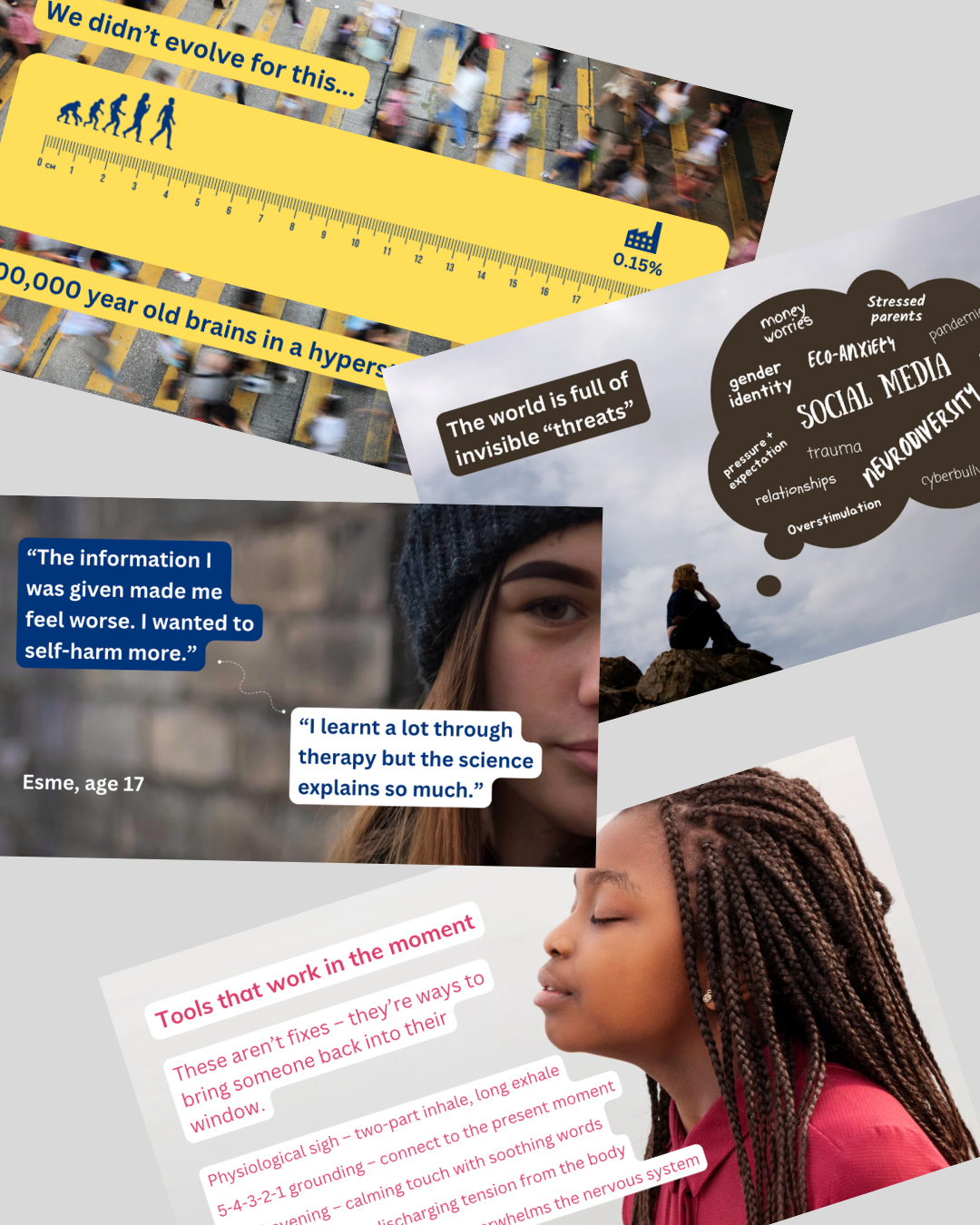 A preview of the Nervous System Literacy and Rethinking Self-harm training slides