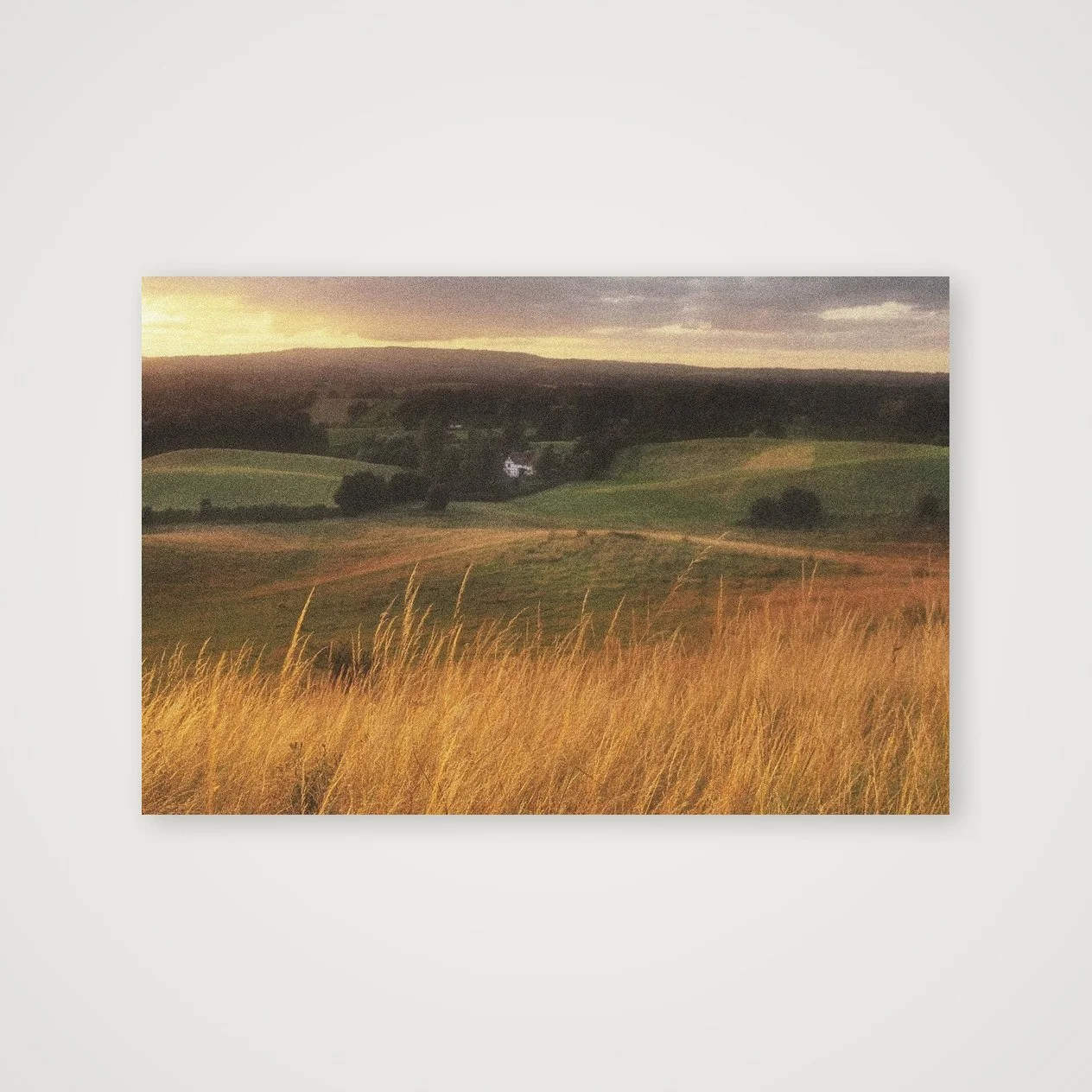 Amber Vale