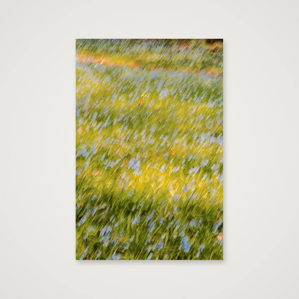 Strokes of Spring