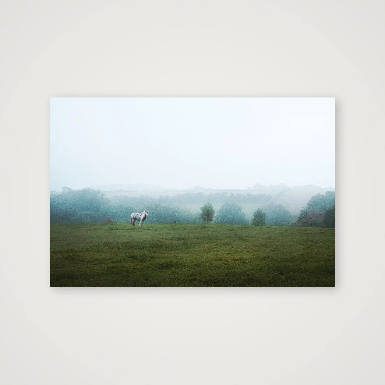 Solitary Wanderer