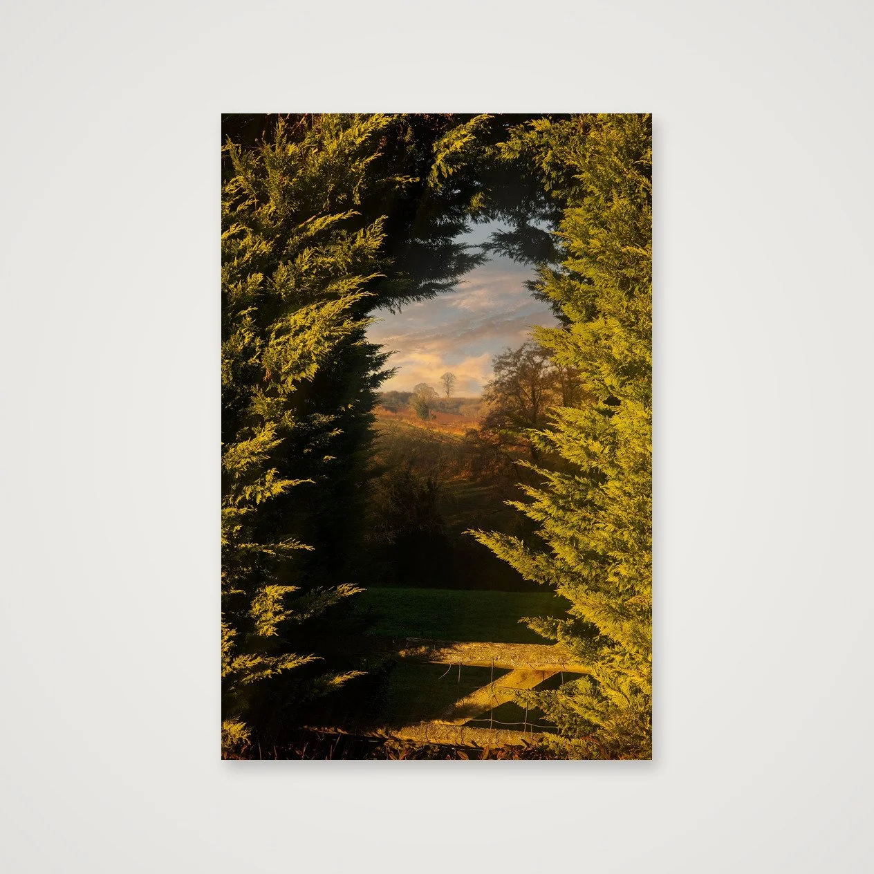 Nature’s Portal