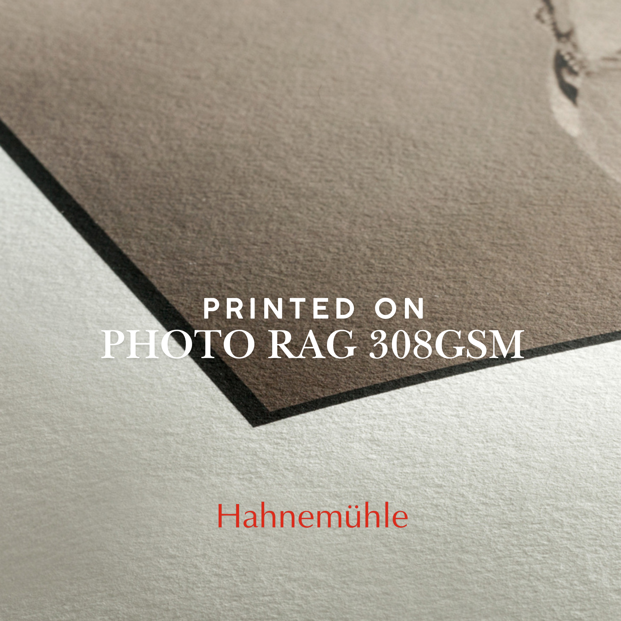 Detail of paper.png