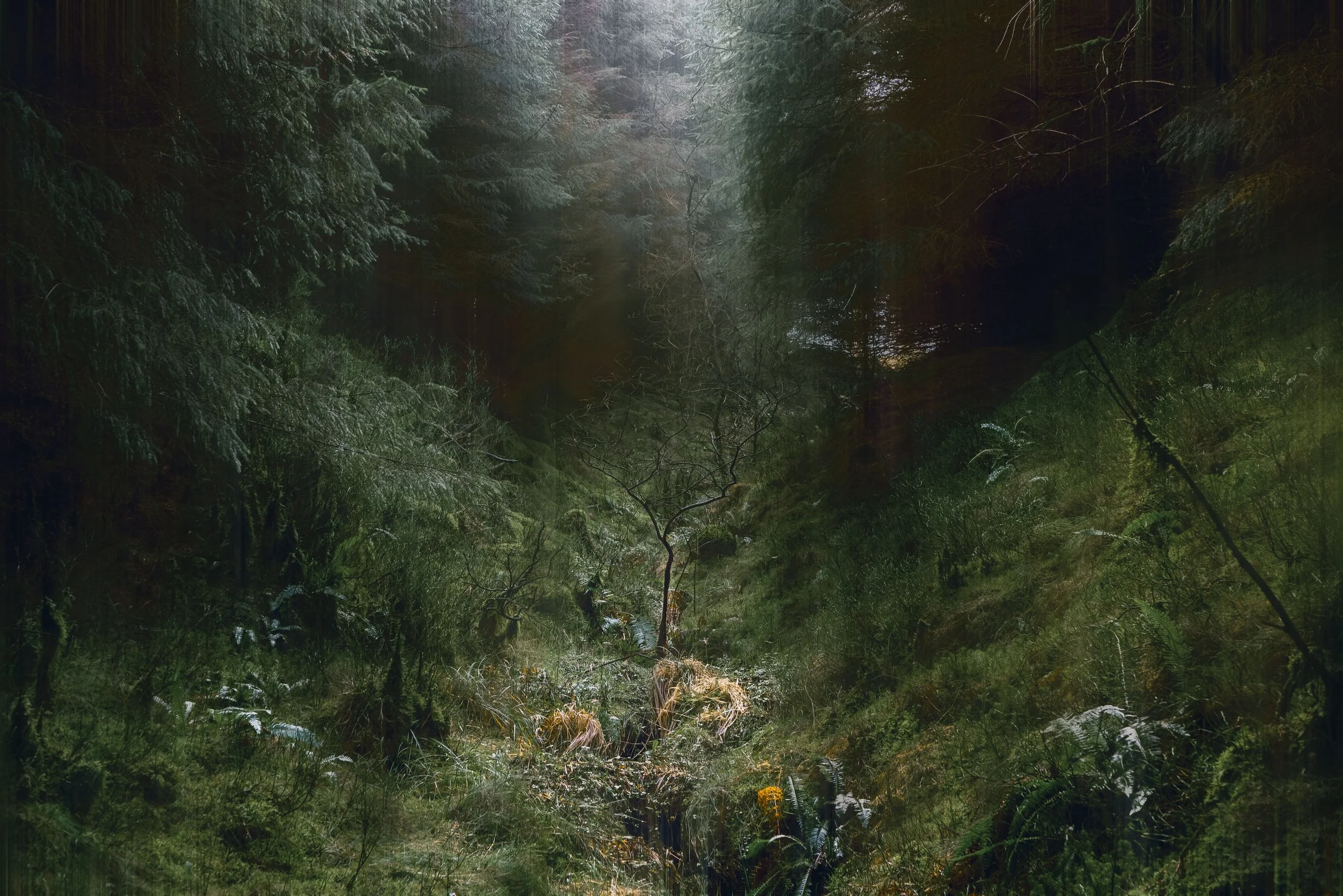 Blaen Y Wwm17.jpg