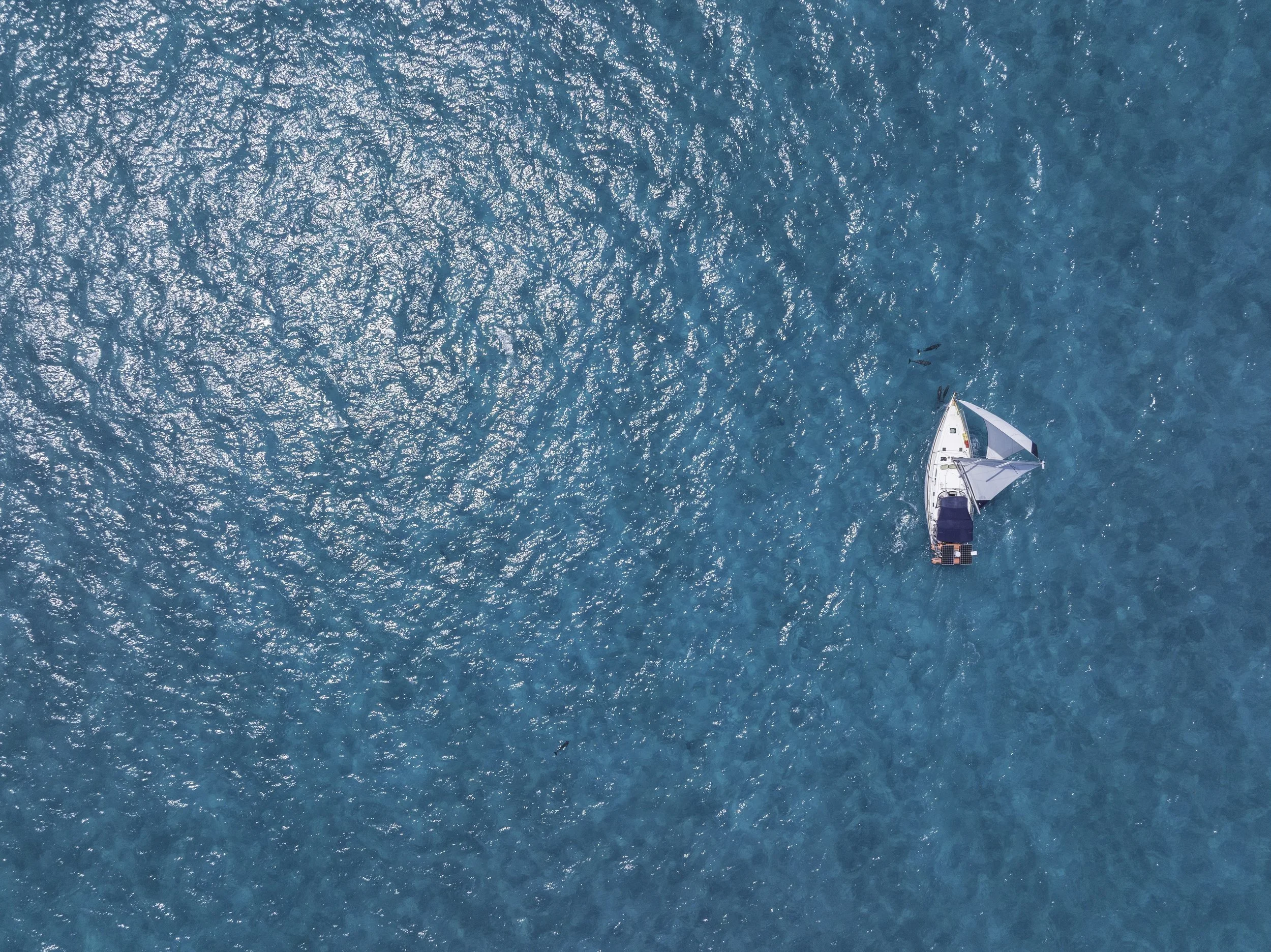 Loop Life Academy | Start Your Nautical Journey Today