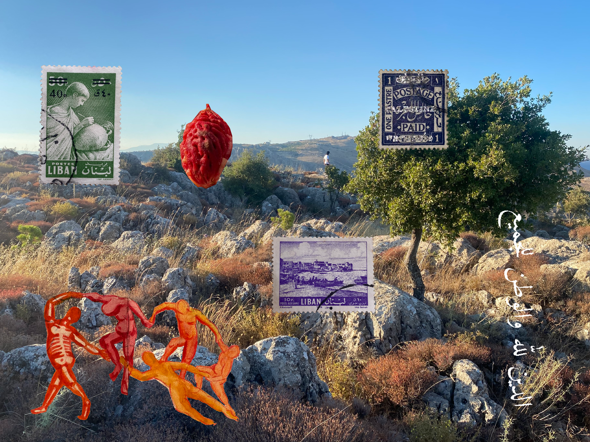 Cultivating Homeland(ing) - 'Archive as Catalyst' (COMING SOON)