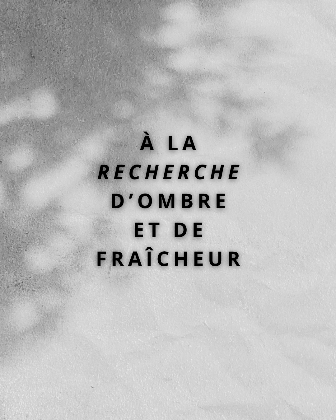 À la recherche d’ombre et de fraîcheur