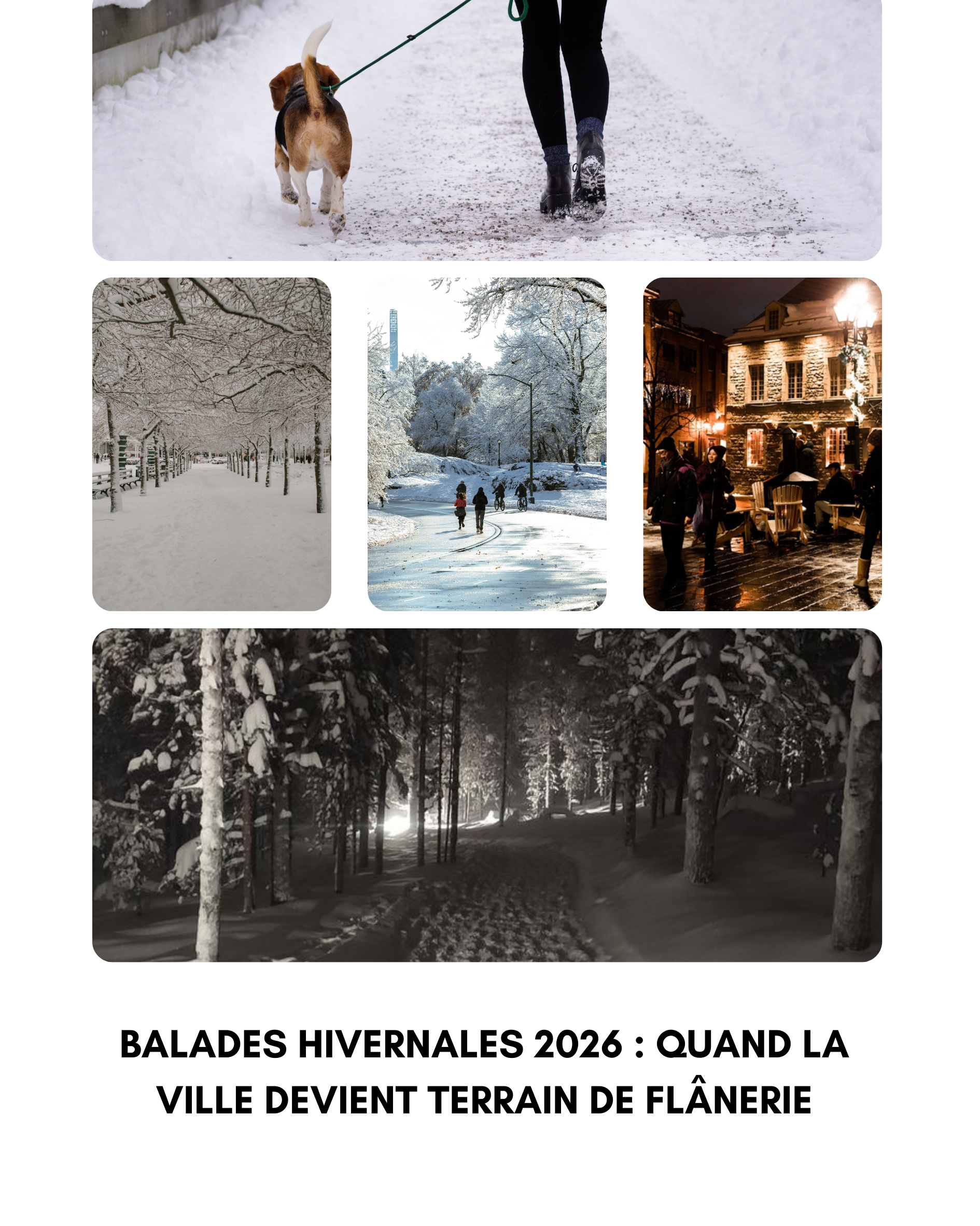 Balades hivernales : vitrines, patinoires, cafés réconfortants