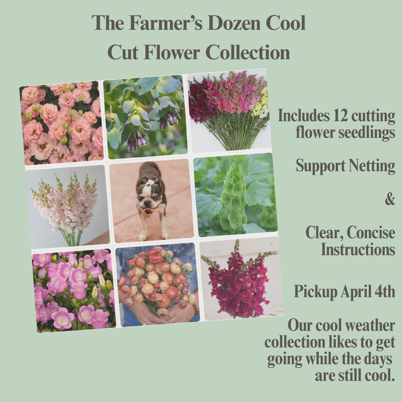 Your Farmers Dozen Cool Cutting Garden Guide