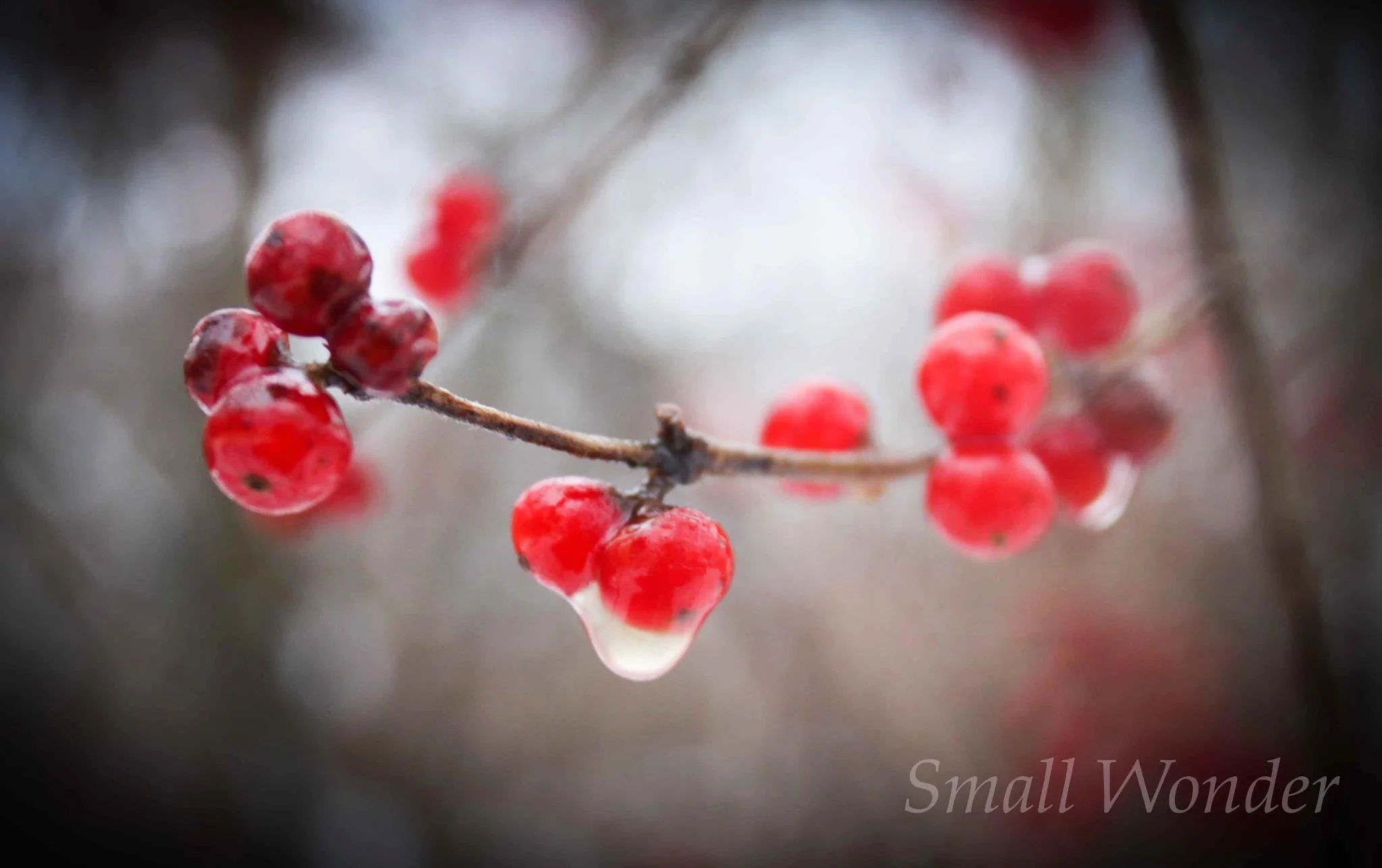 468955689_10161315803272428_8712979078762326396_n (1).jpg