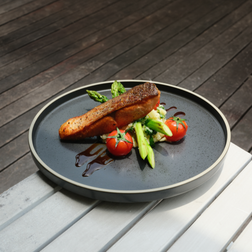 Pan-Fried Salmon Plate
