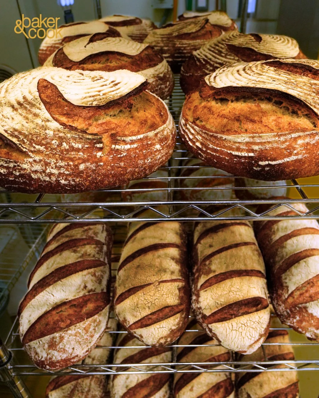 Baker _ Cook (1).jpeg