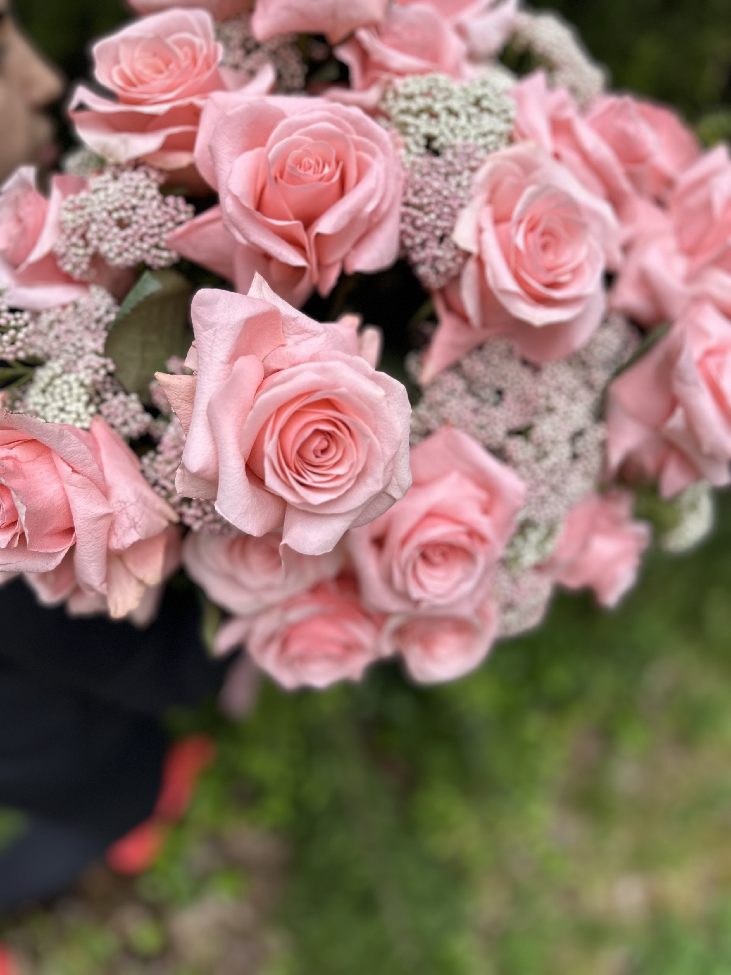 IMG_0169.jpeg