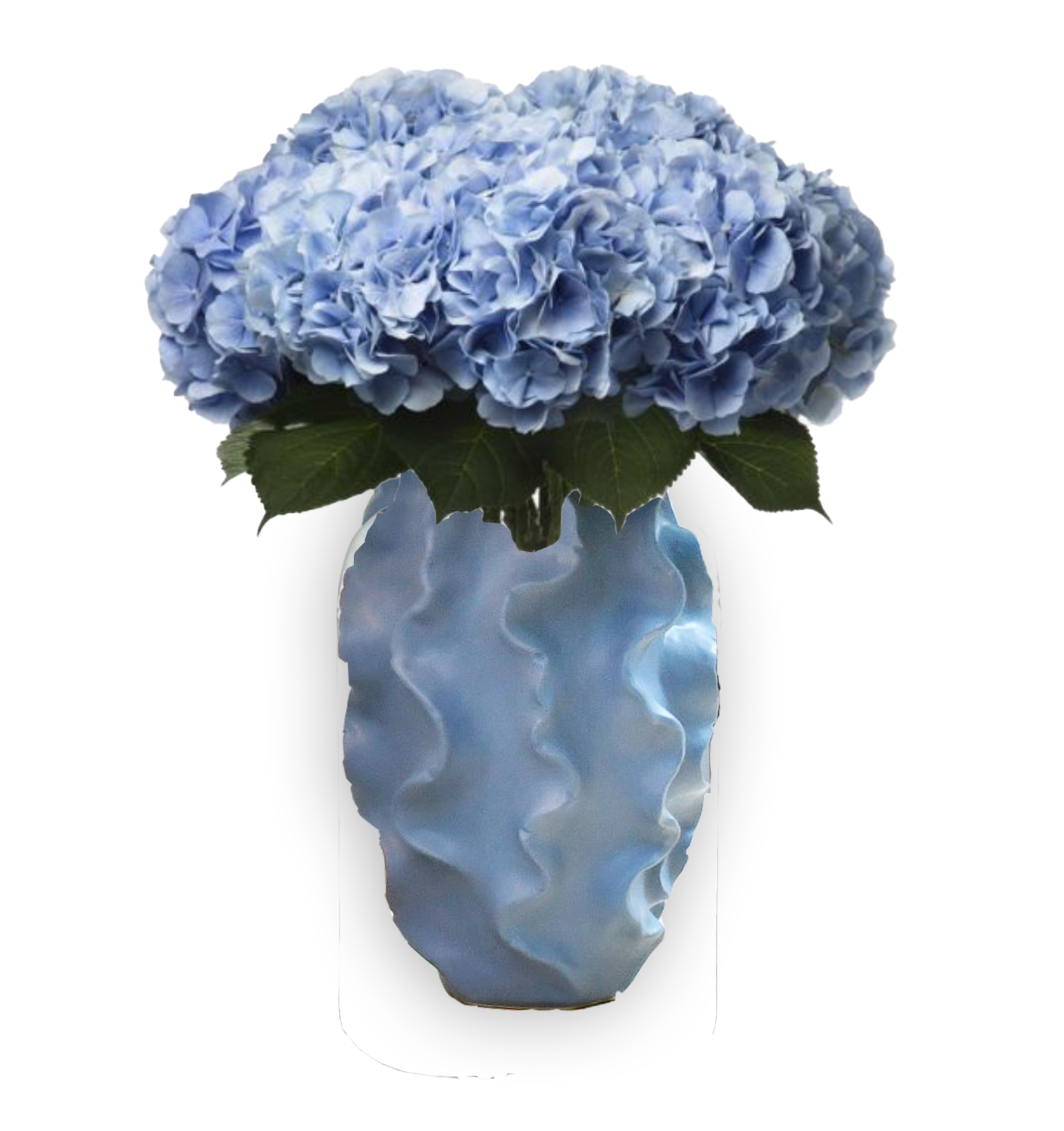 BLUEHYDRENGEAWITHOUTLINE.png