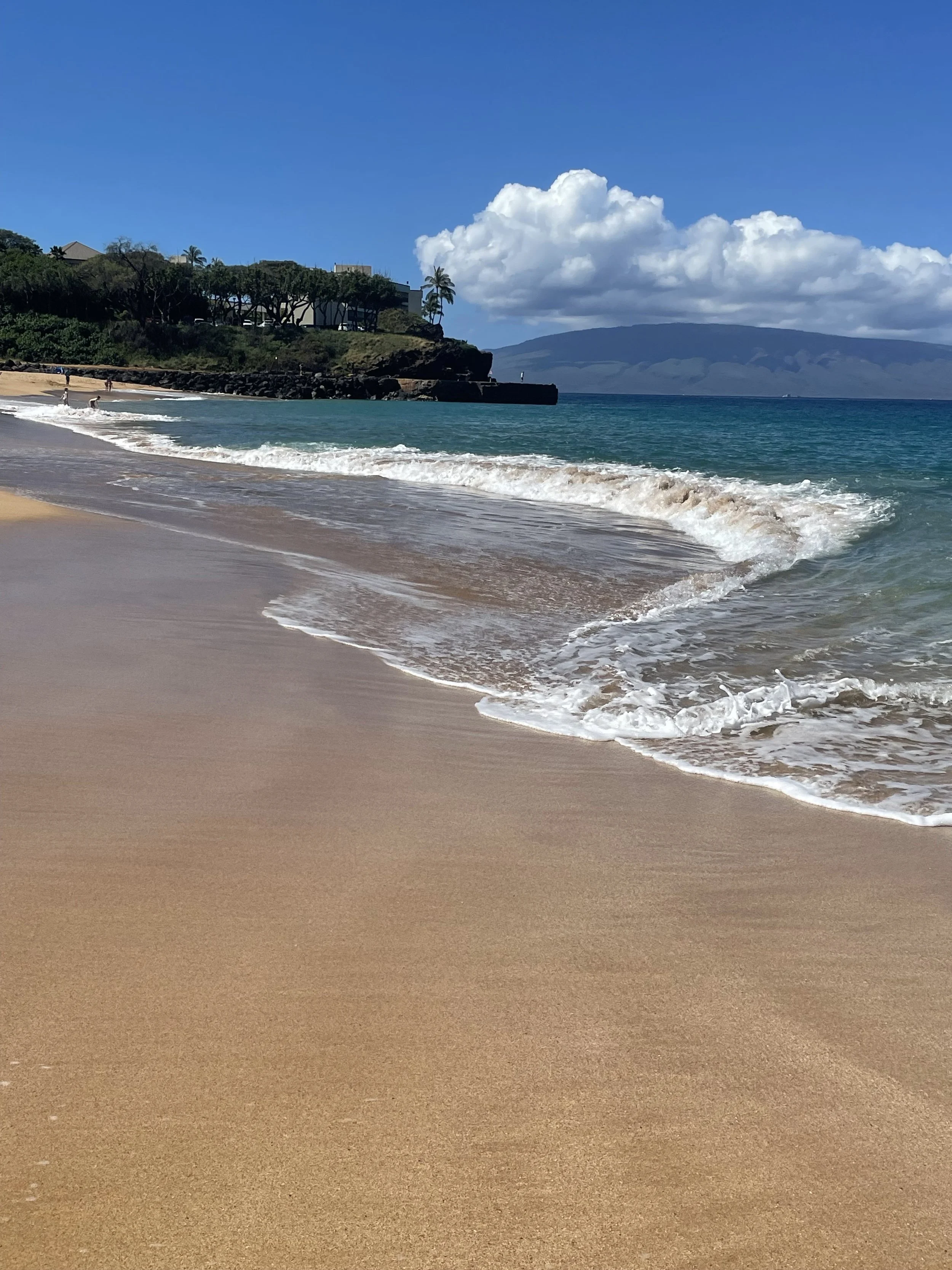 Retreats & Events