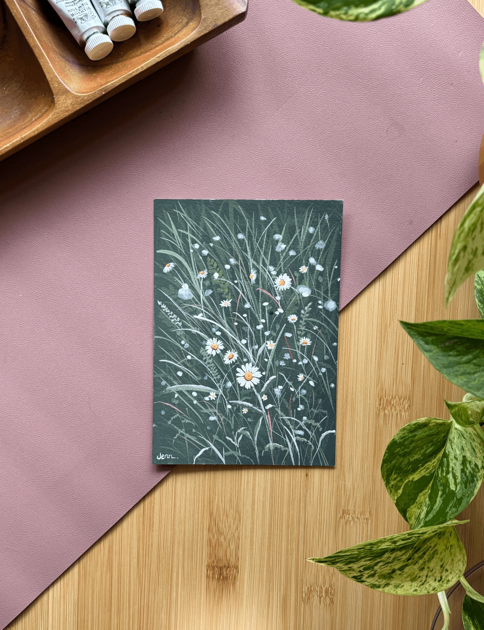 Daisies