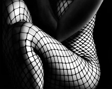 The Net Web.jpg