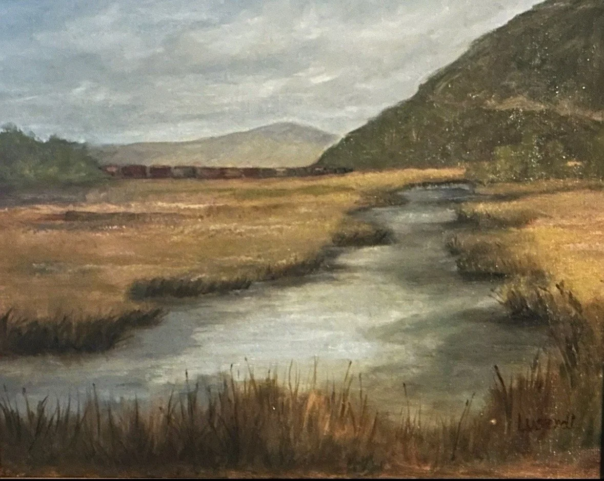 Iona Marsh Bird Sanctuary - Original Oil Painting - 12 x 16