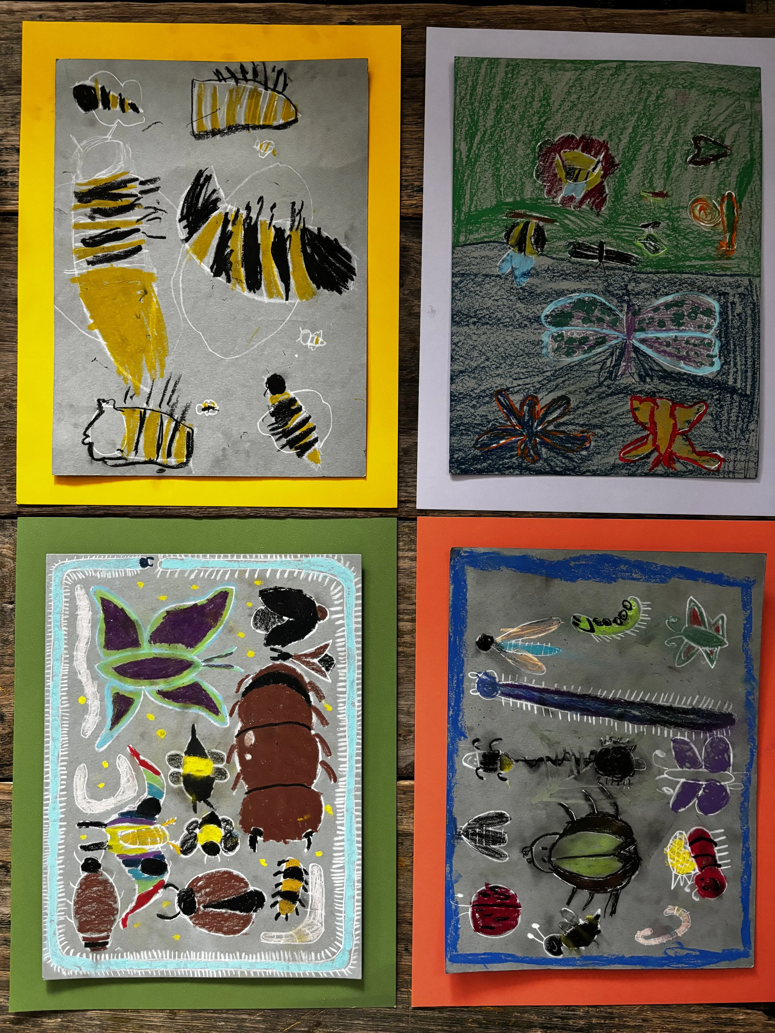 Photo Jul 25 2024, 2 55 24 PM.jpg