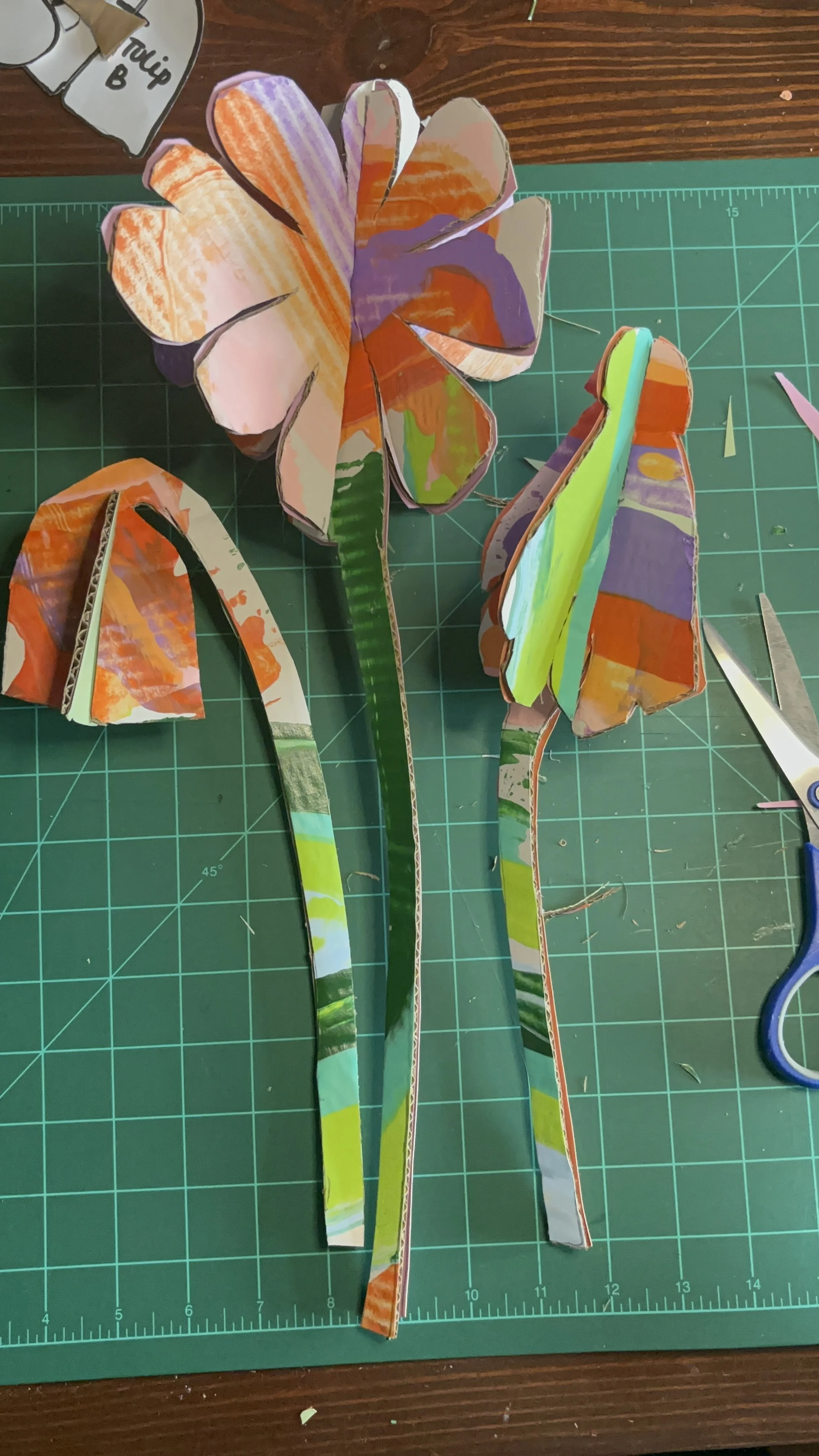 Photo Jul 30 2024, 2 00 53 PM.jpg