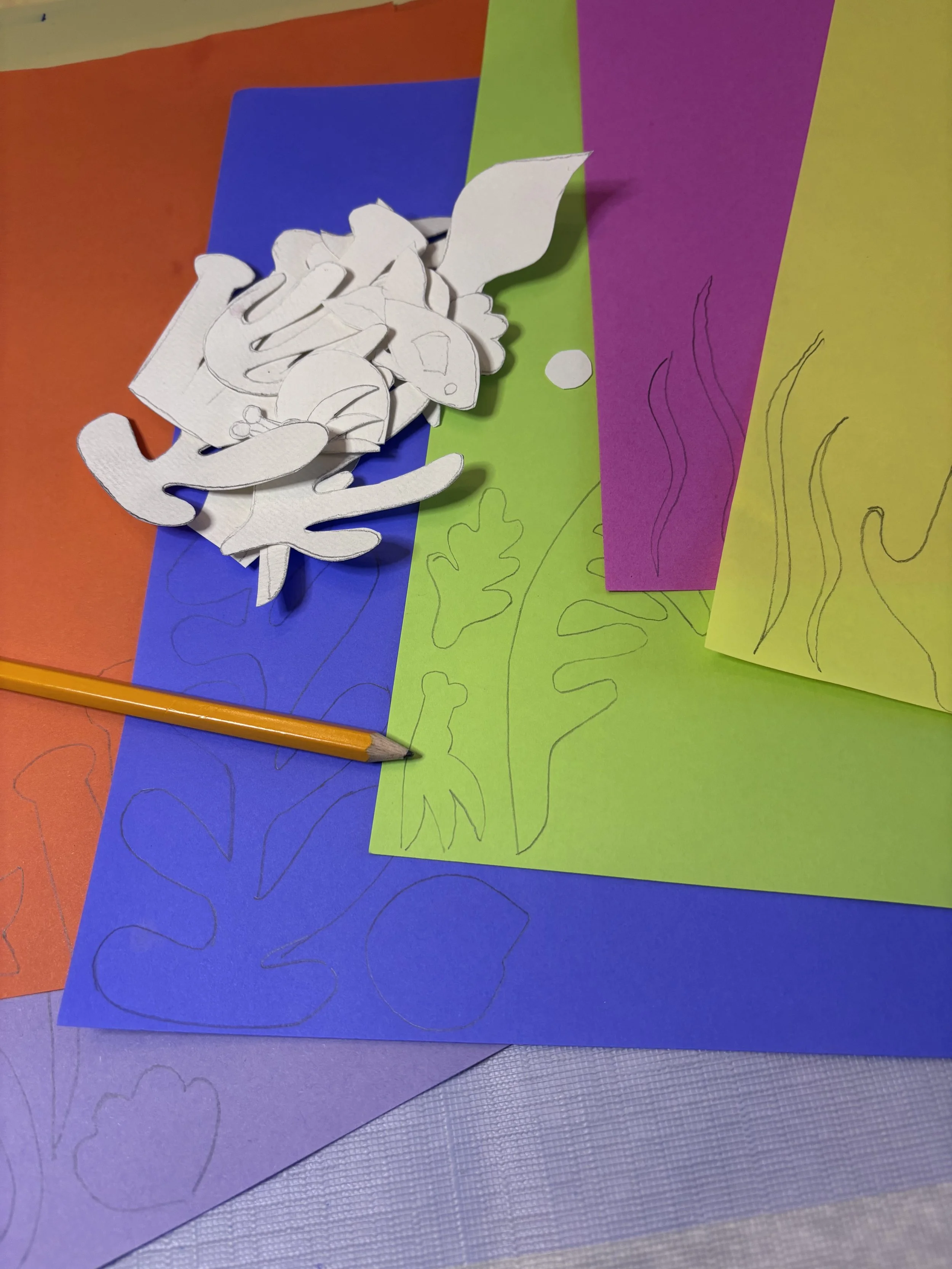 Photo Jun 06 2025, 2 08 33 PM.jpg