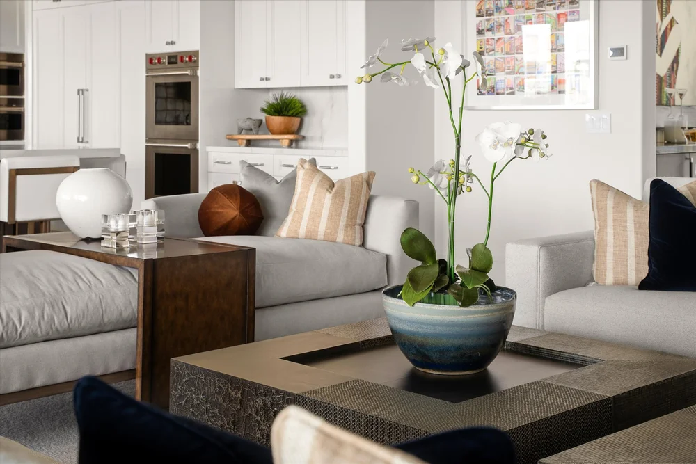 Layers of Luxury Scottsdale interior design image 20
