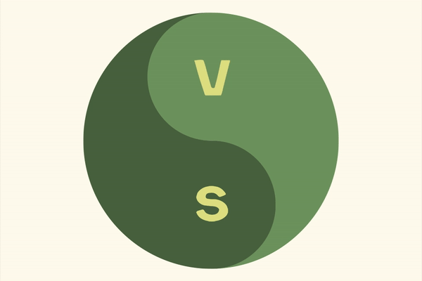 VS-Logo.gif