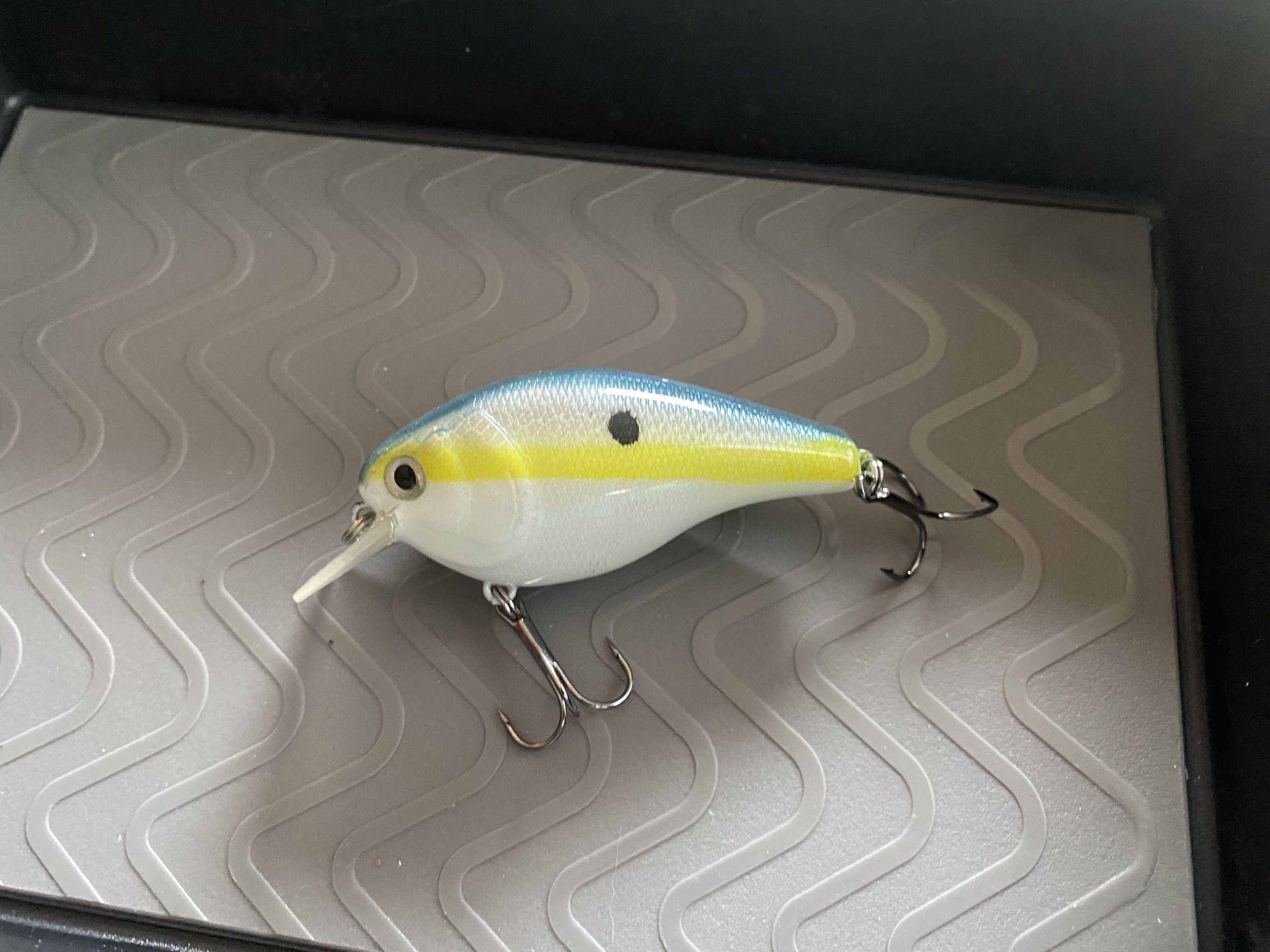 sexy shad doneeeeeeeee.jpg