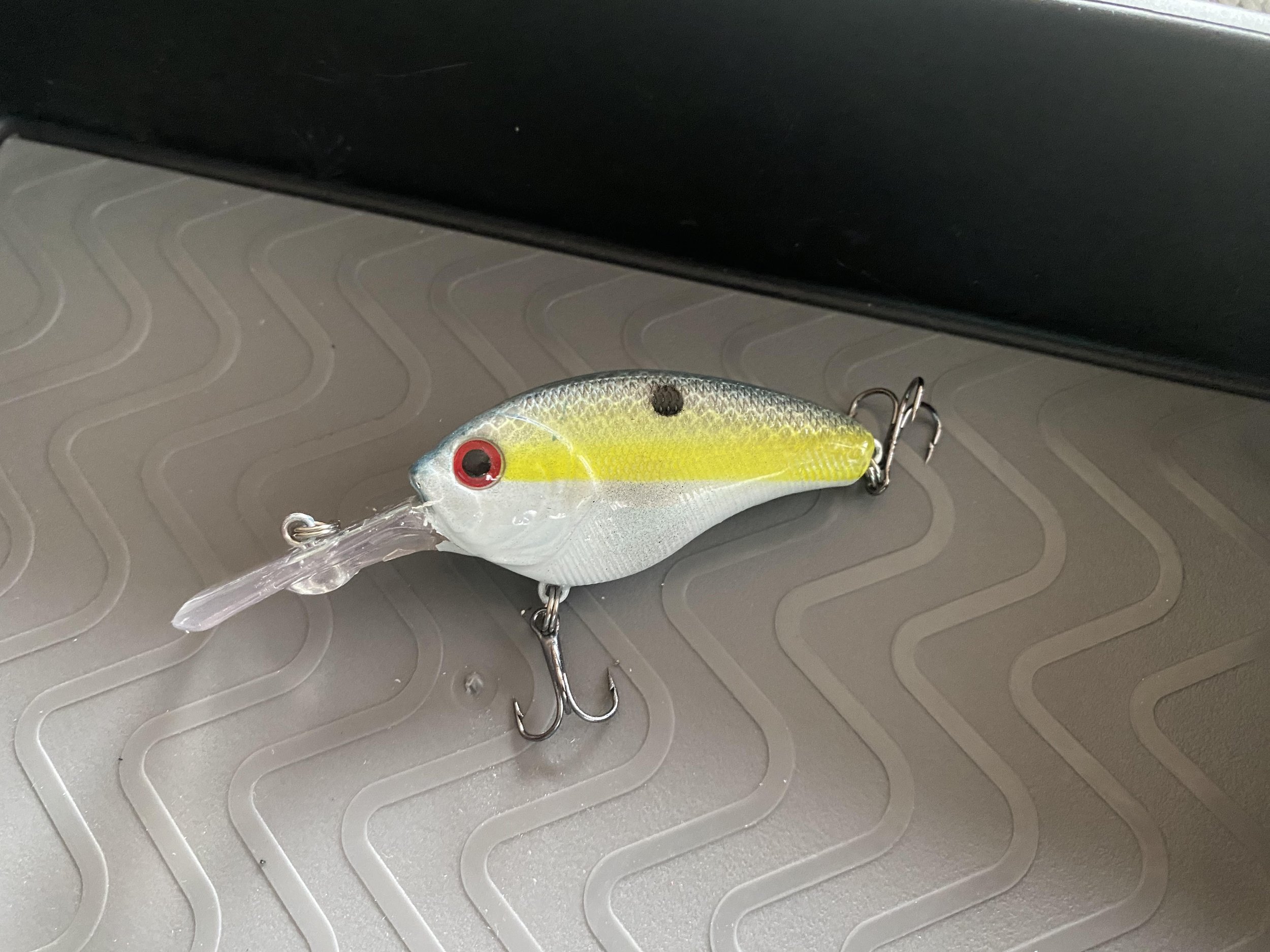 sssexy shad.jpg