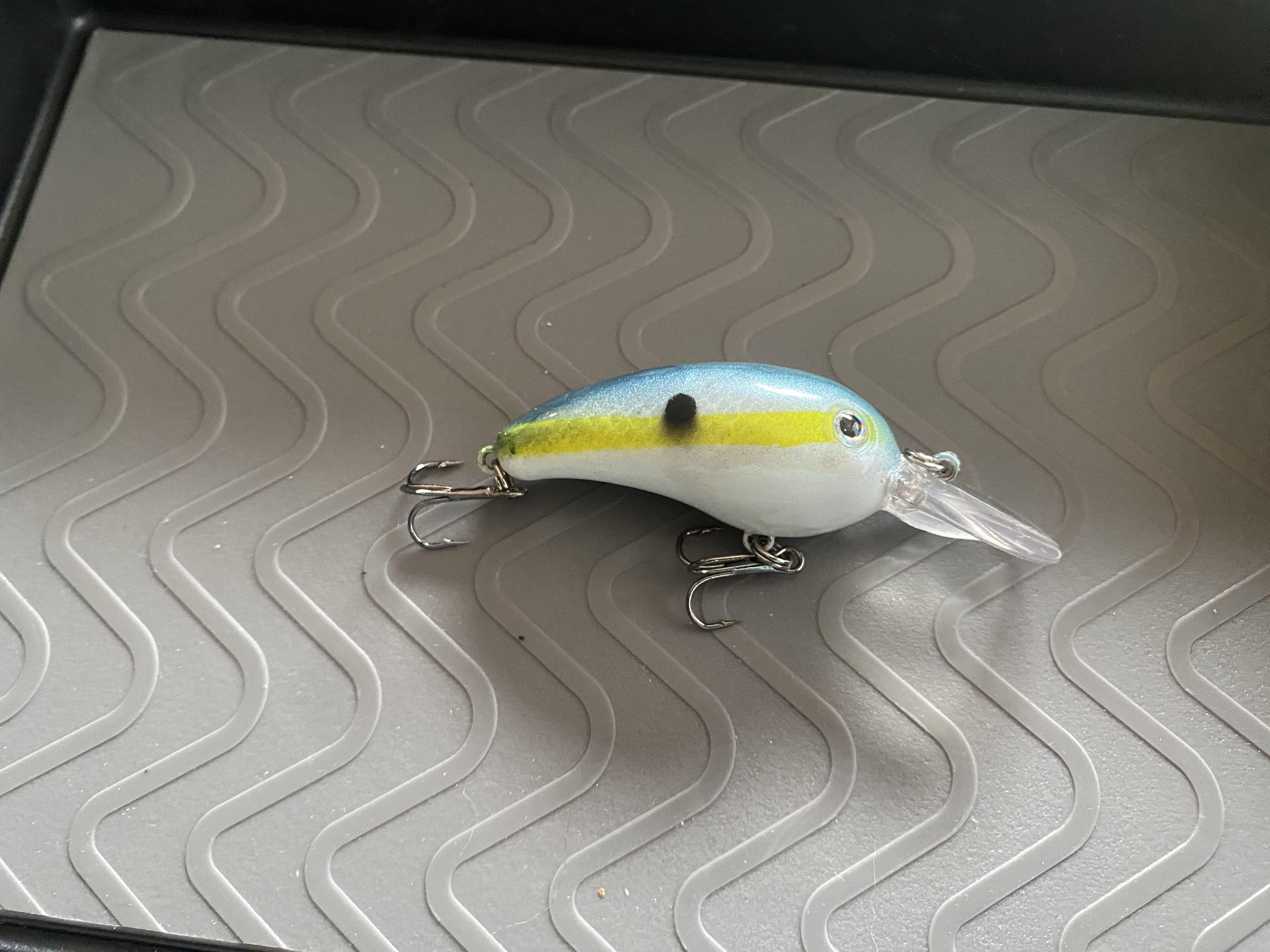 sexy shad doneeeee.jpg