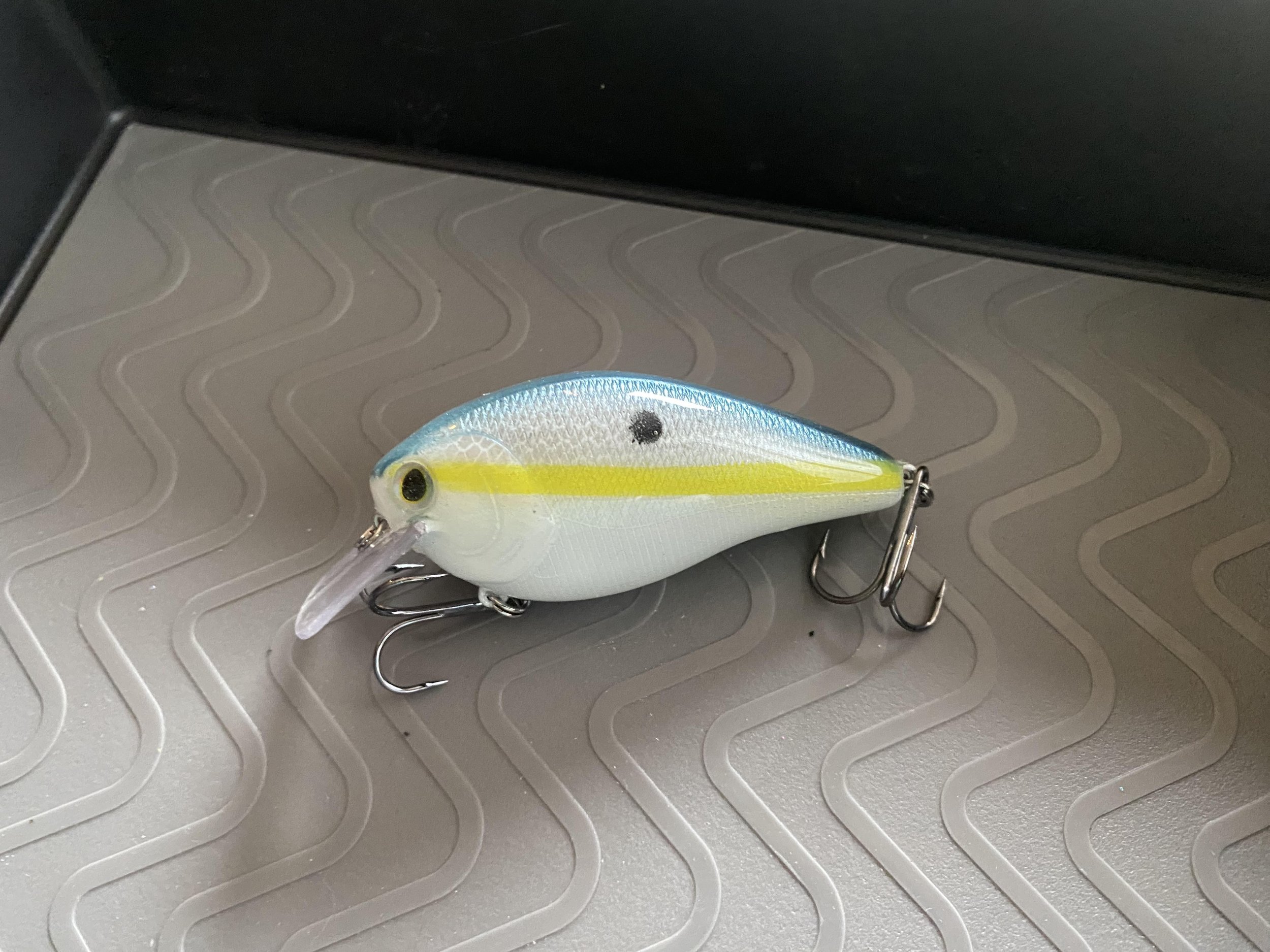 Sexy Shad